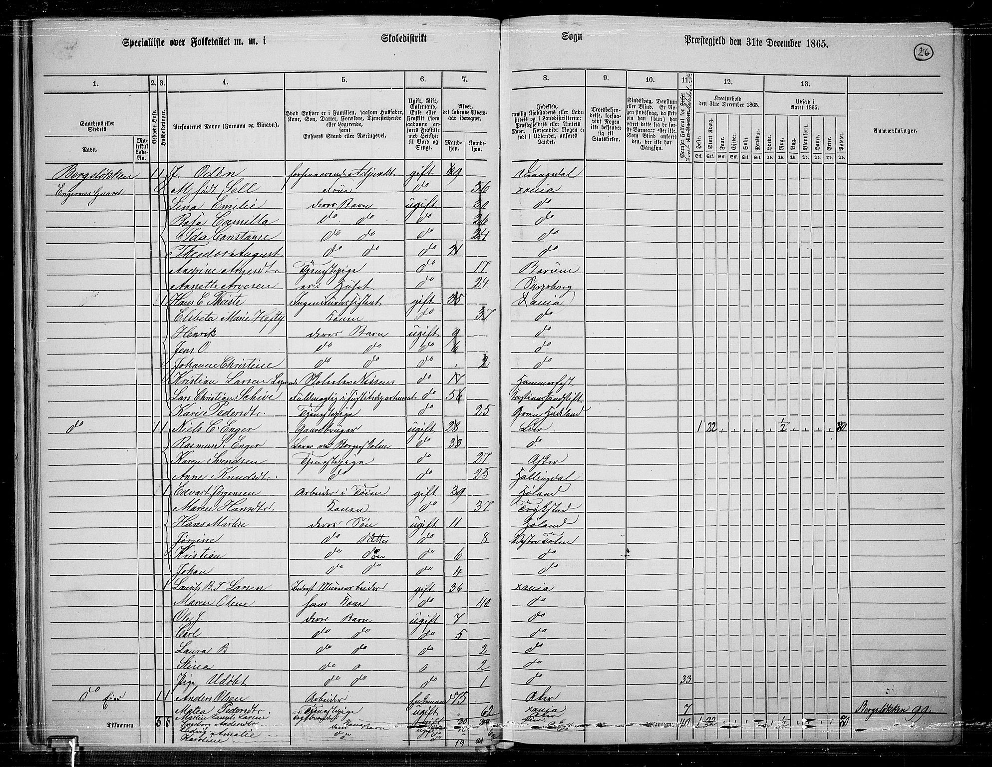 RA, 1865 census for Østre Aker, 1865, p. 250