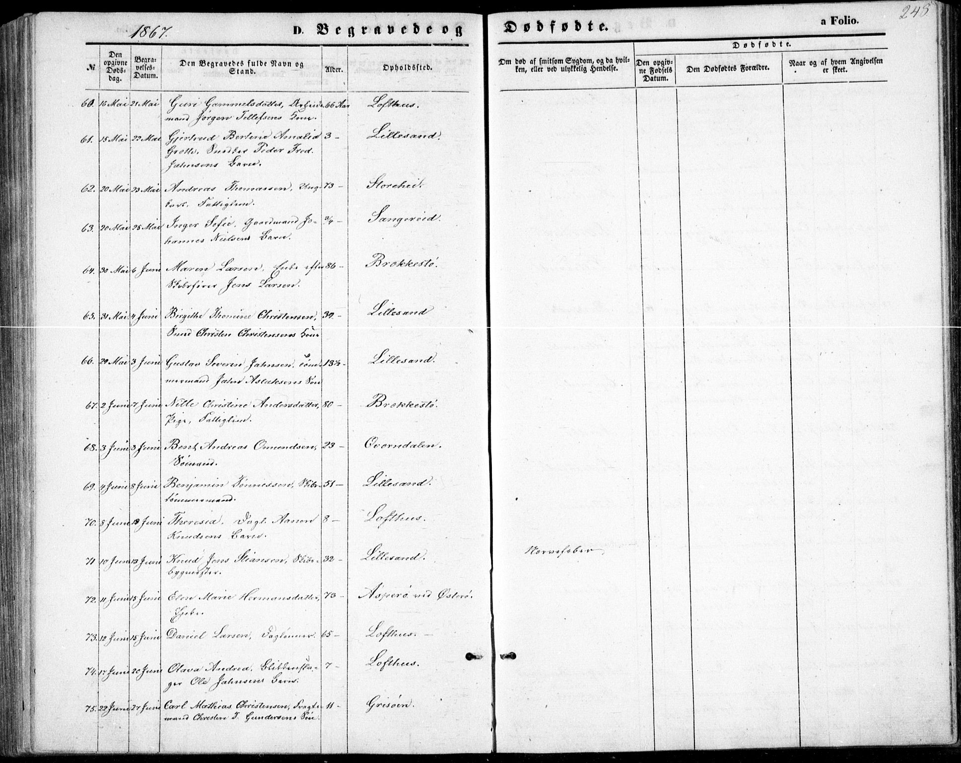 Vestre Moland sokneprestkontor, AV/SAK-1111-0046/F/Fb/Fbb/L0004: Parish register (copy) no. B 4, 1861-1872, p. 248