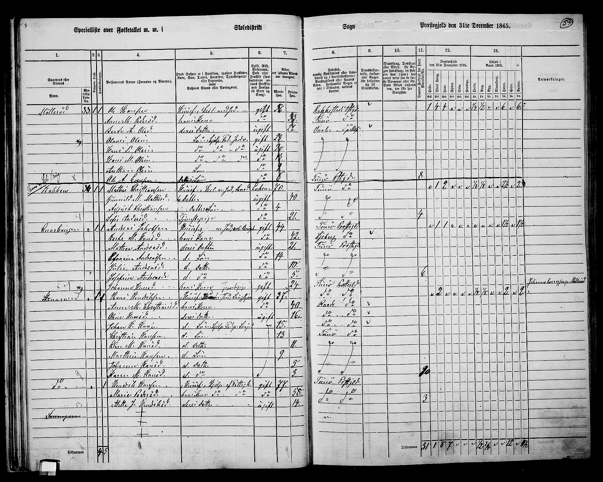 RA, 1865 census for Tune, 1865, p. 50