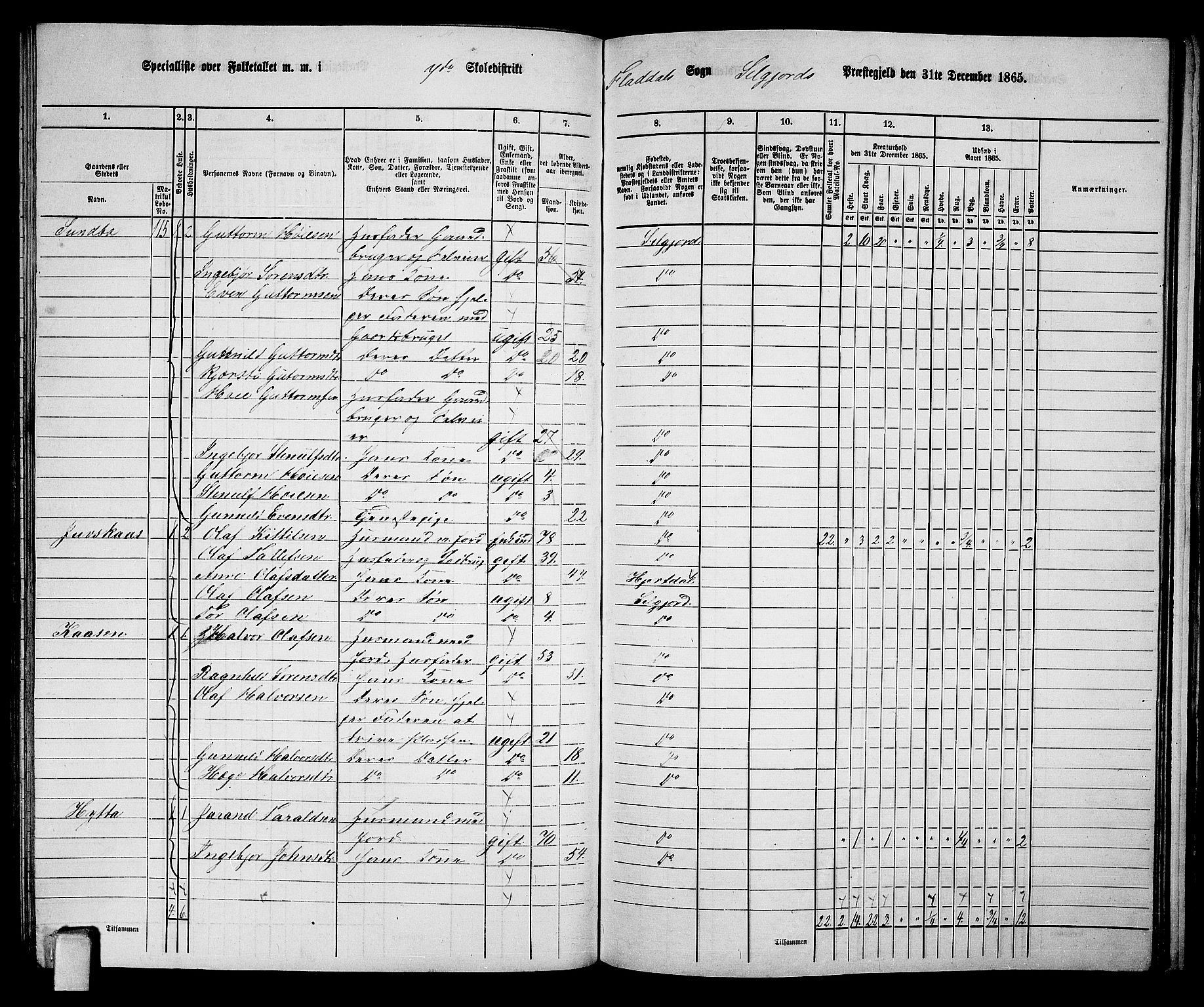 RA, 1865 census for Seljord, 1865, p. 99