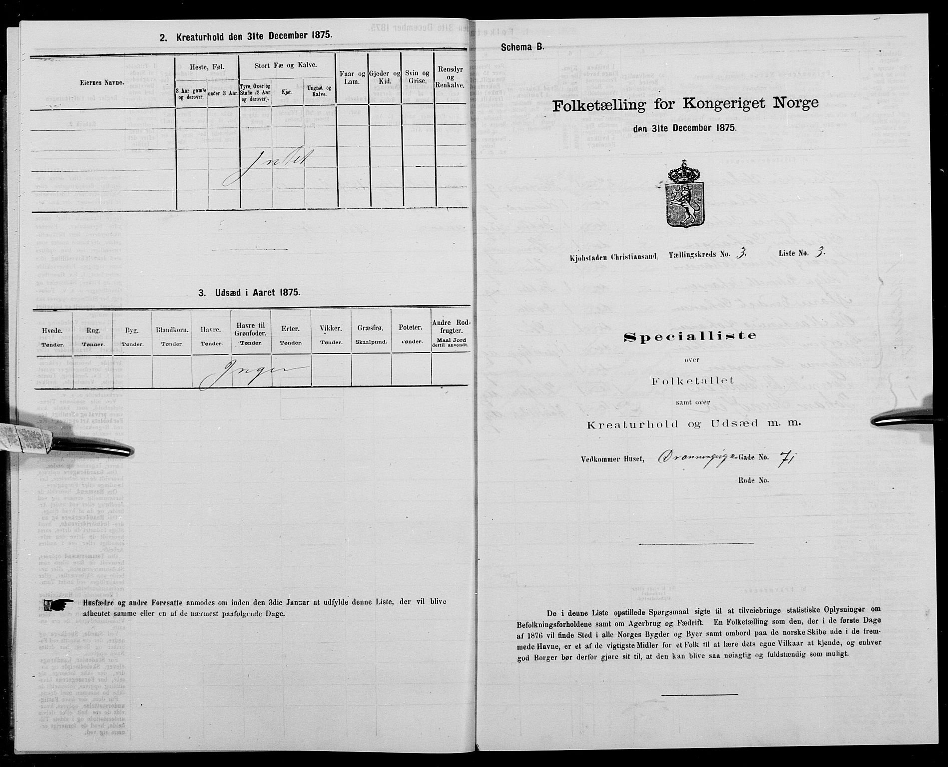 SAK, 1875 census for 1001P Kristiansand, 1875, p. 298