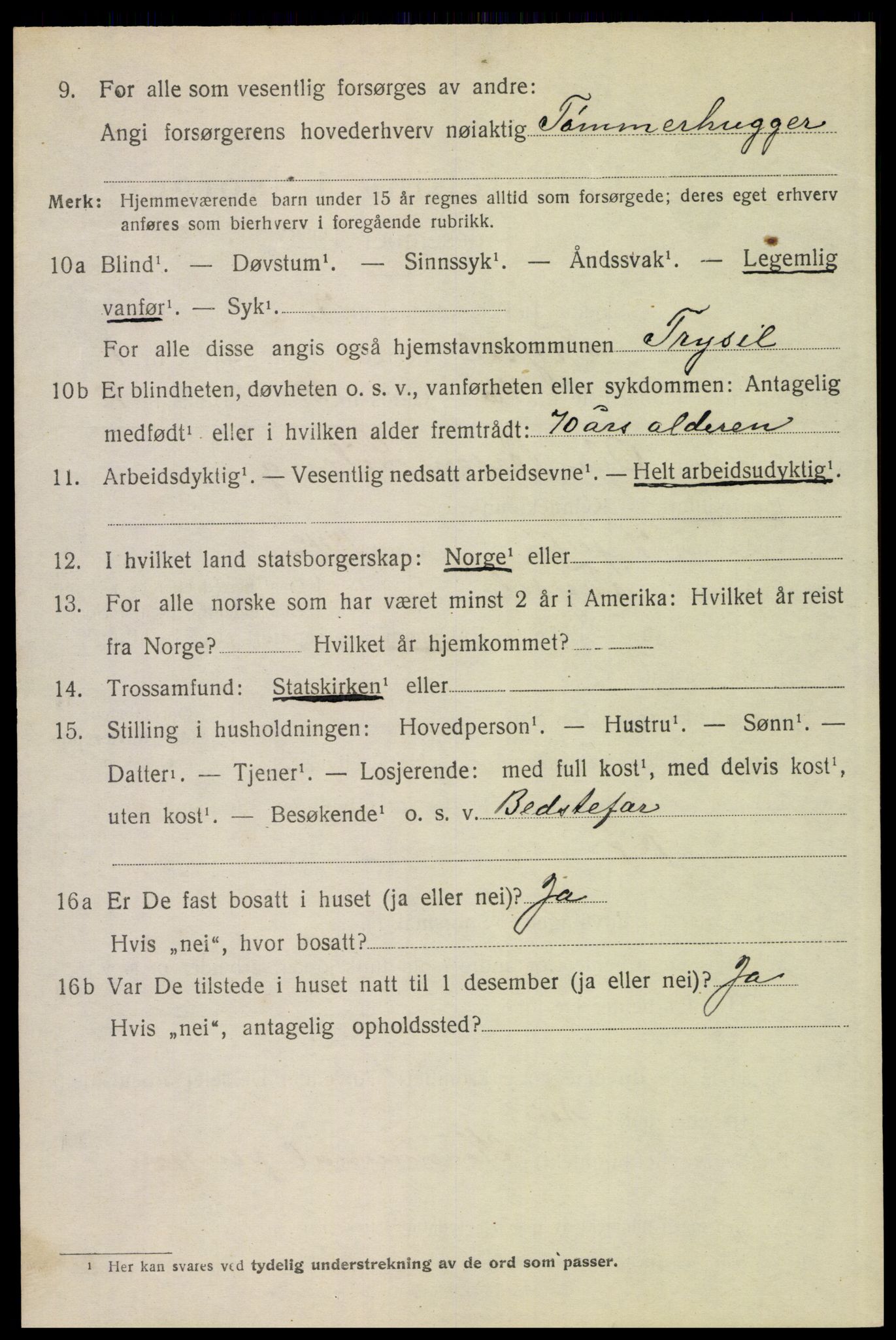 SAH, 1920 census for Trysil, 1920, p. 3088