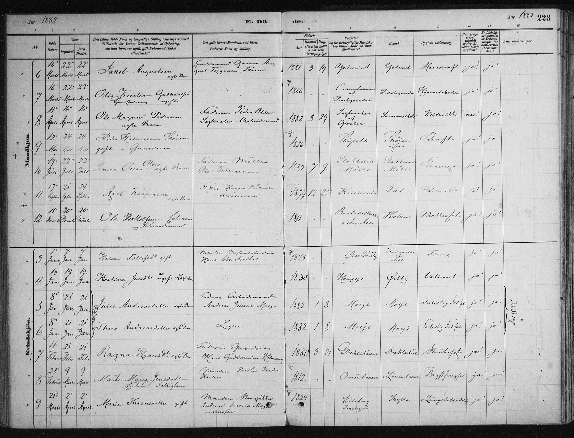 Nittedal prestekontor Kirkebøker, SAO/A-10365a/F/Fa/L0007: Parish register (official) no. I 7, 1879-1901, p. 223