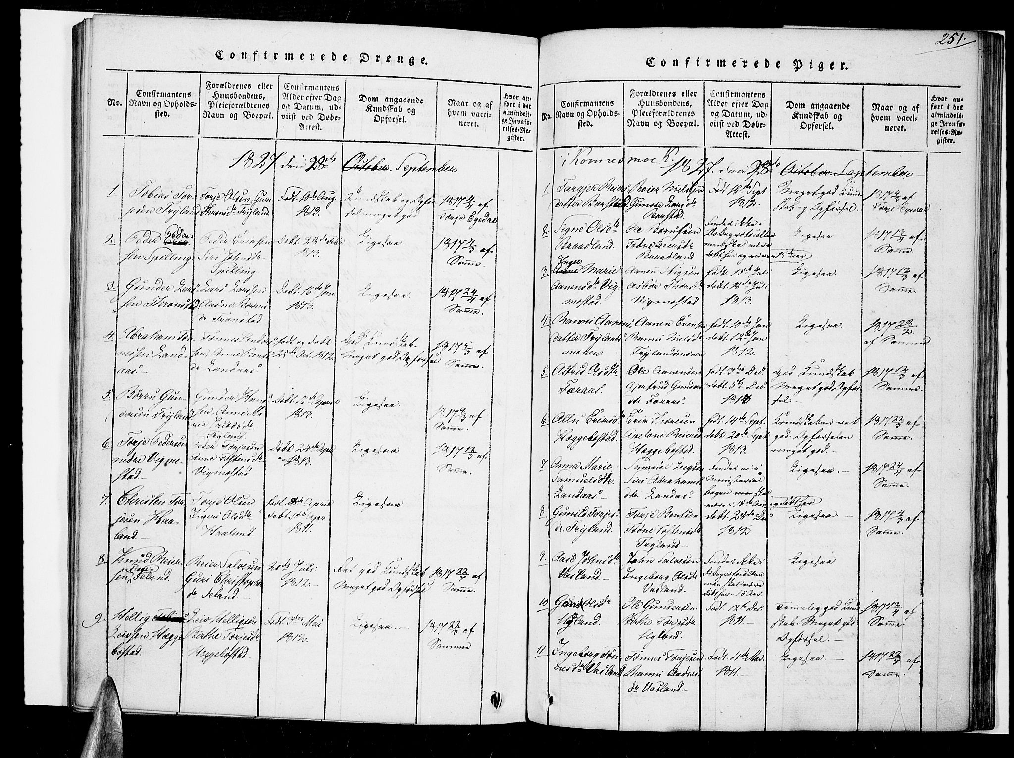 Nord-Audnedal sokneprestkontor, SAK/1111-0032/F/Fa/Fab/L0001: Parish register (official) no. A 1, 1816-1858, p. 251