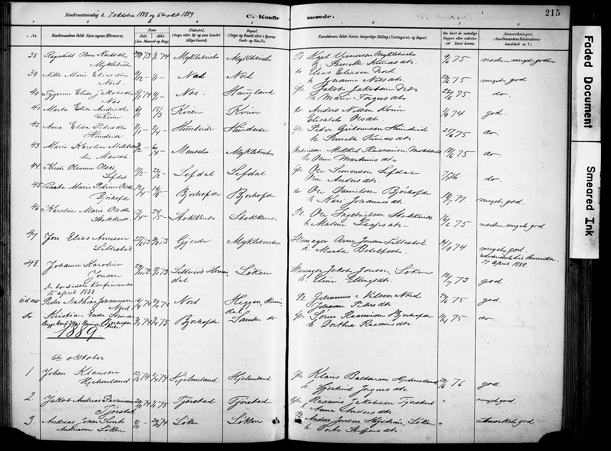 Eid sokneprestembete, AV/SAB-A-82301/H/Hab/Habb/L0002: Parish register (copy) no. B 2, 1882-1907, p. 215