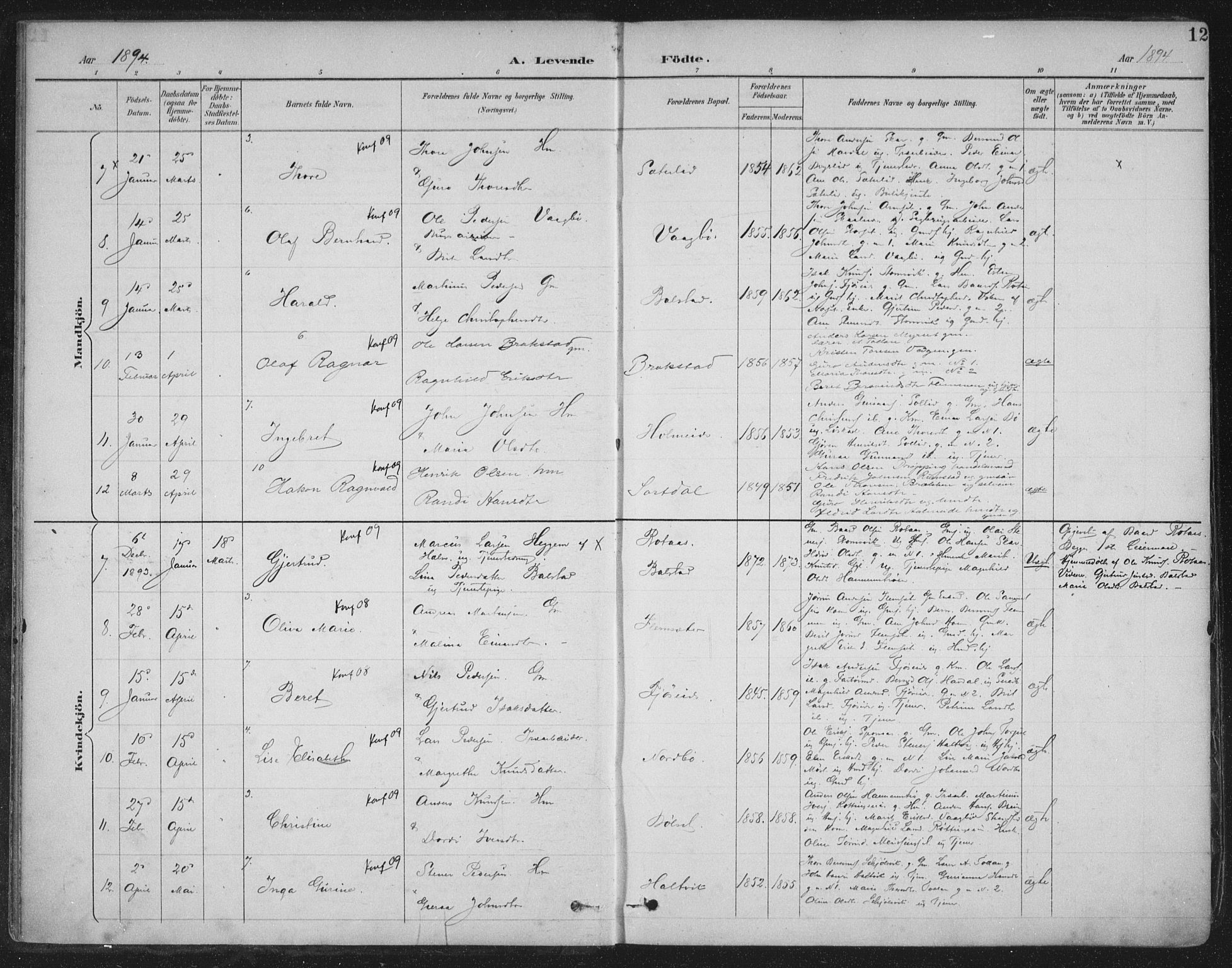 Ministerialprotokoller, klokkerbøker og fødselsregistre - Møre og Romsdal, AV/SAT-A-1454/586/L0988: Parish register (official) no. 586A14, 1893-1905, p. 12