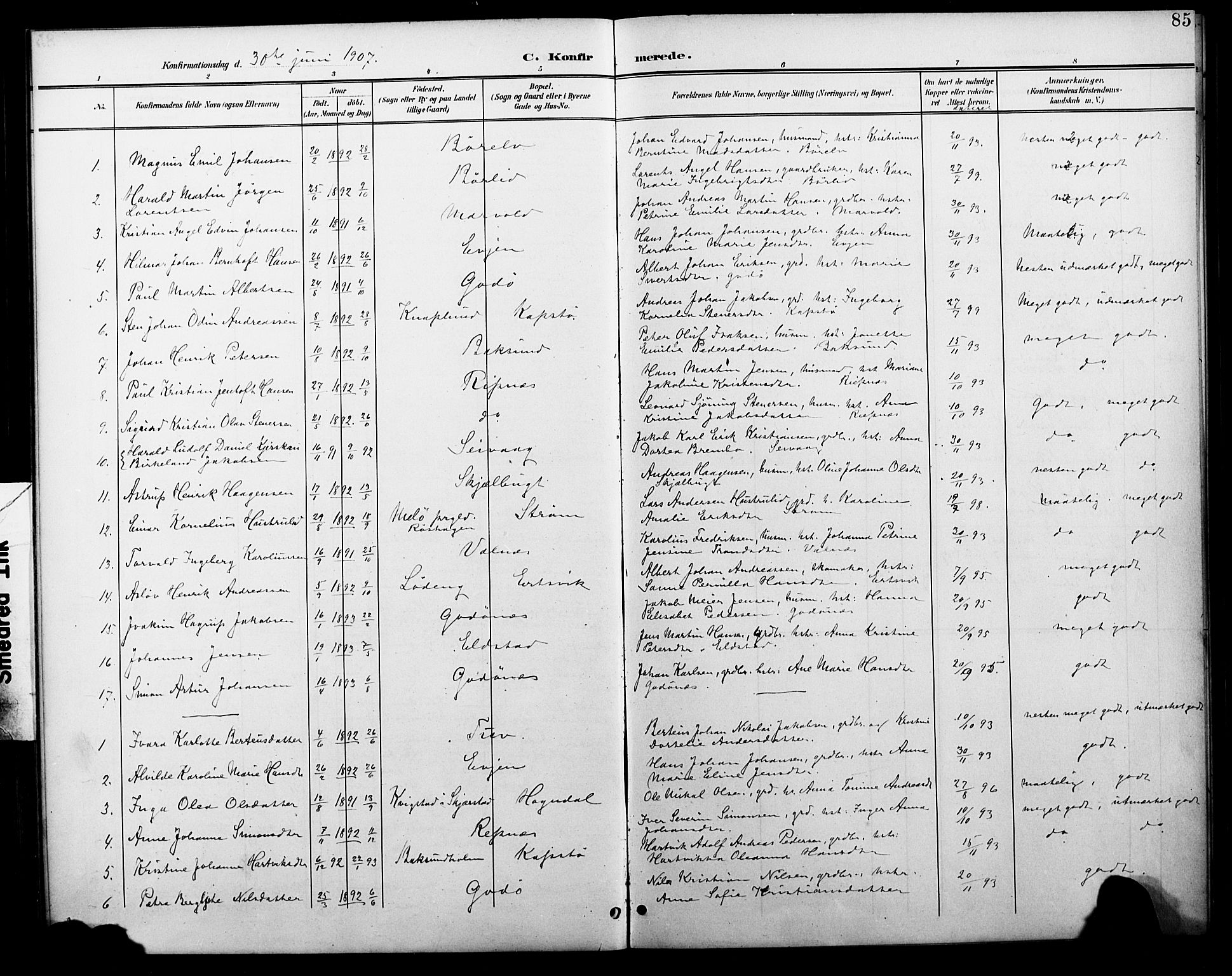 Ministerialprotokoller, klokkerbøker og fødselsregistre - Nordland, SAT/A-1459/804/L0088: Parish register (copy) no. 804C01, 1901-1917, p. 85