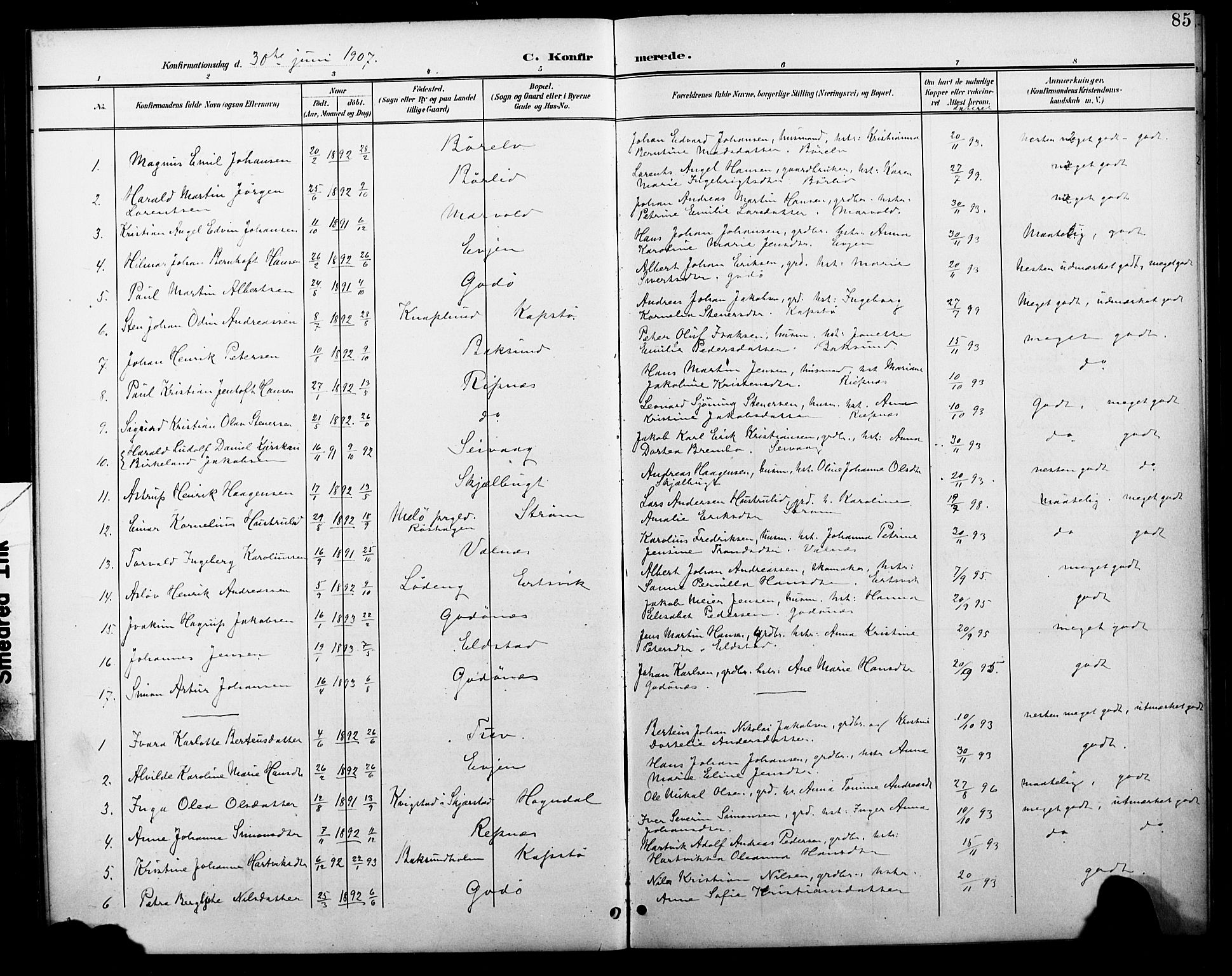 Ministerialprotokoller, klokkerbøker og fødselsregistre - Nordland, AV/SAT-A-1459/804/L0088: Parish register (copy) no. 804C01, 1901-1917, p. 85