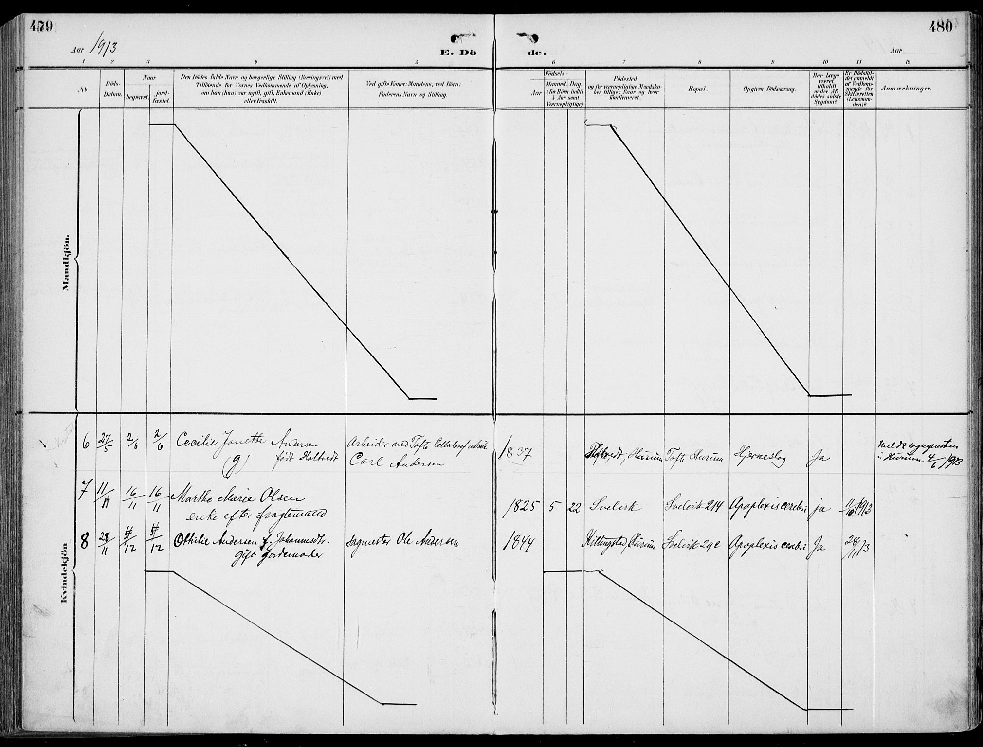 Strømm kirkebøker, AV/SAKO-A-322/F/Fb/L0002: Parish register (official) no. II 2, 1900-1919, p. 479-480