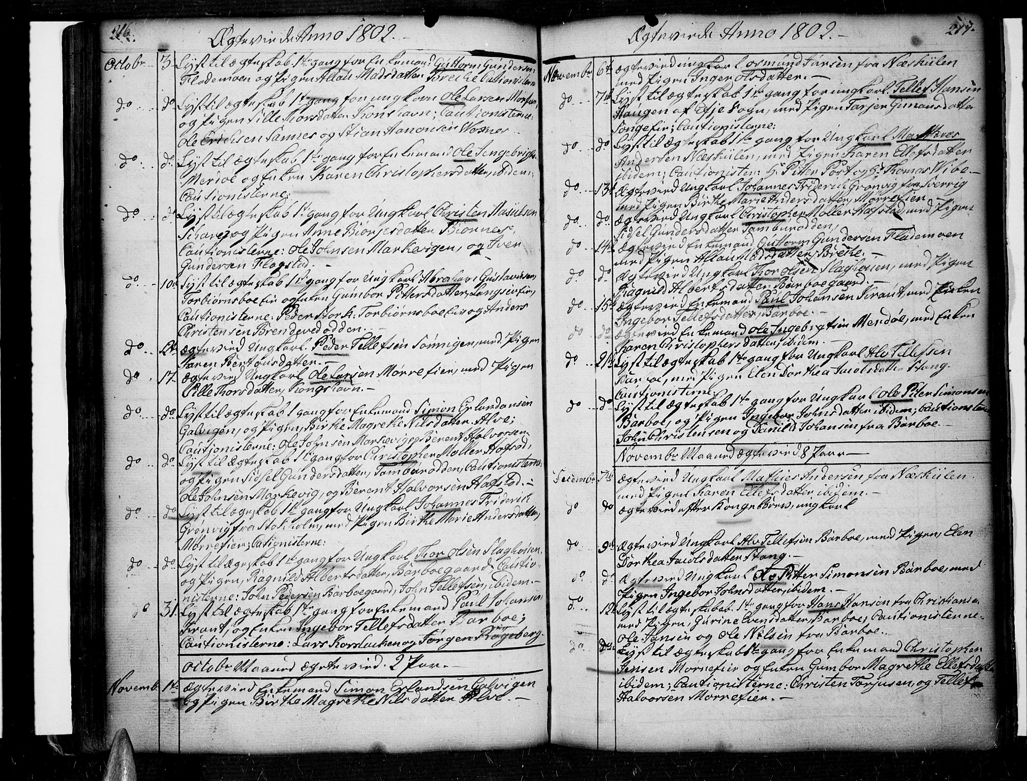 Tromøy sokneprestkontor, AV/SAK-1111-0041/F/Fa/L0002: Parish register (official) no. A 2, 1773-1808, p. 216-217