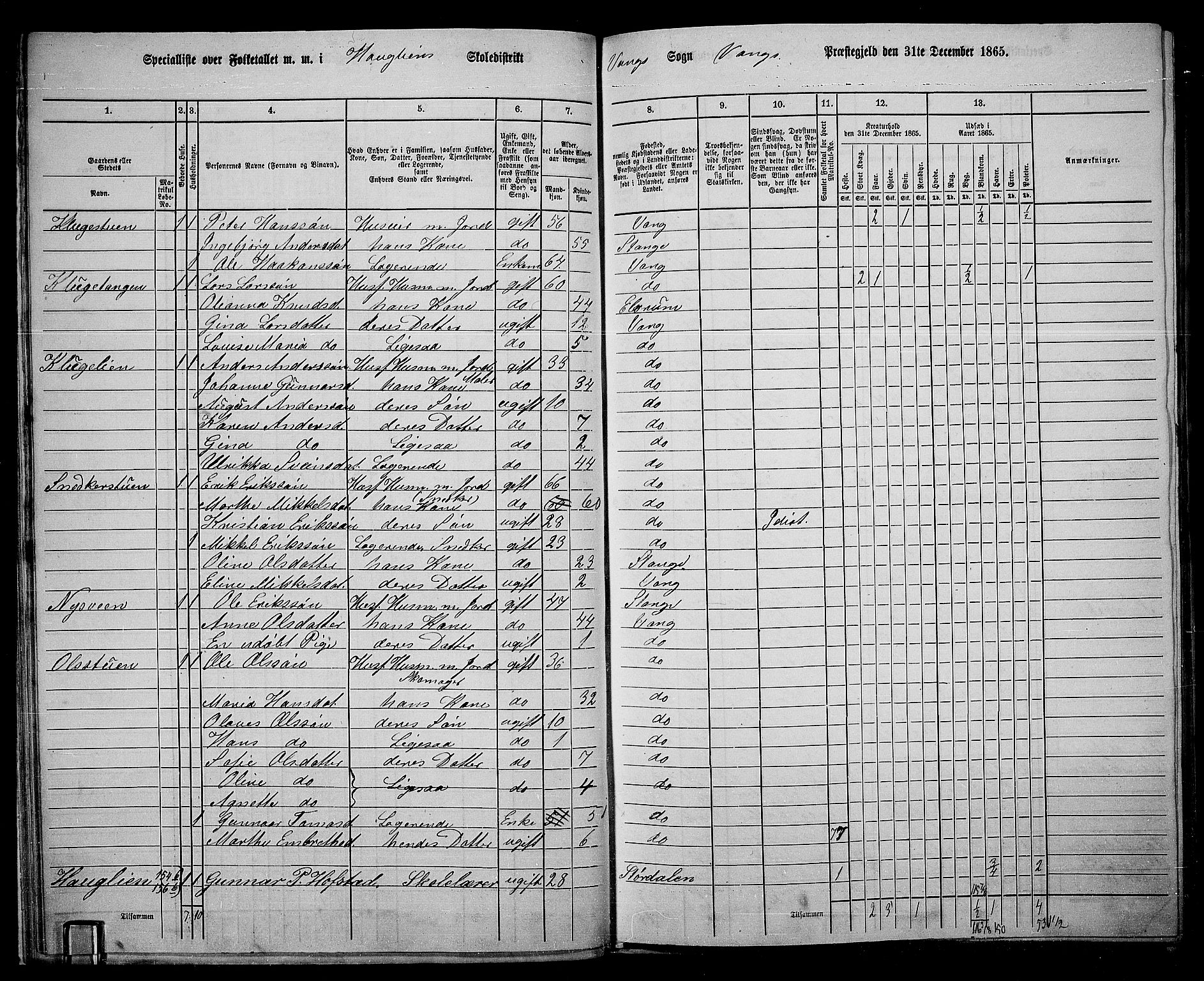 RA, 1865 census for Vang/Vang og Furnes, 1865, p. 173