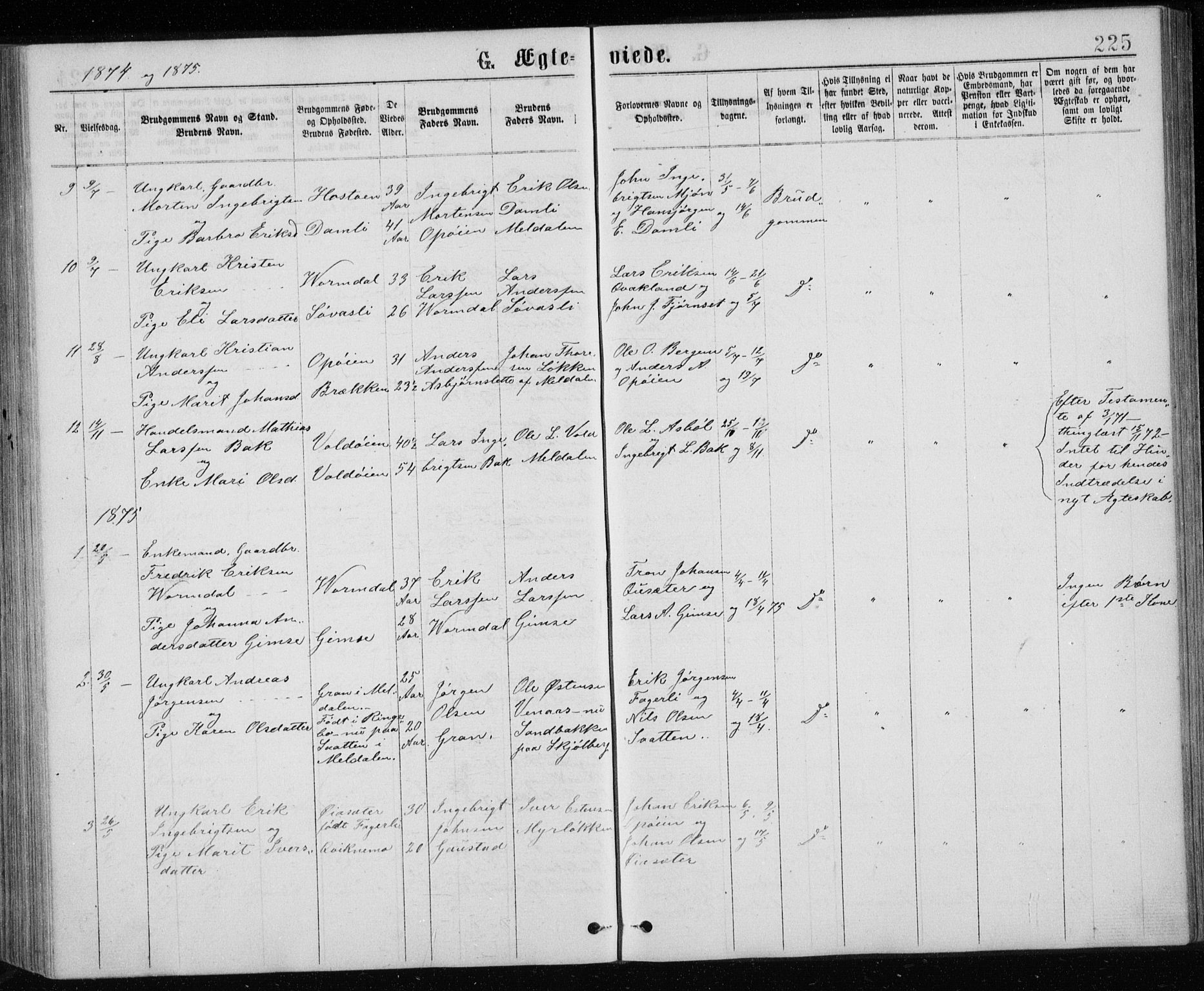 Ministerialprotokoller, klokkerbøker og fødselsregistre - Sør-Trøndelag, AV/SAT-A-1456/671/L0843: Parish register (copy) no. 671C02, 1873-1892, p. 225