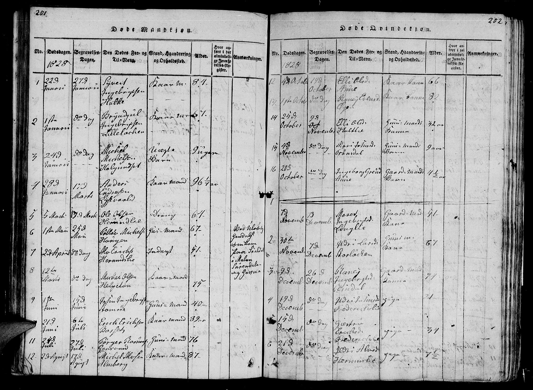 Ministerialprotokoller, klokkerbøker og fødselsregistre - Møre og Romsdal, AV/SAT-A-1454/595/L1050: Parish register (copy) no. 595C02, 1819-1834, p. 201-202