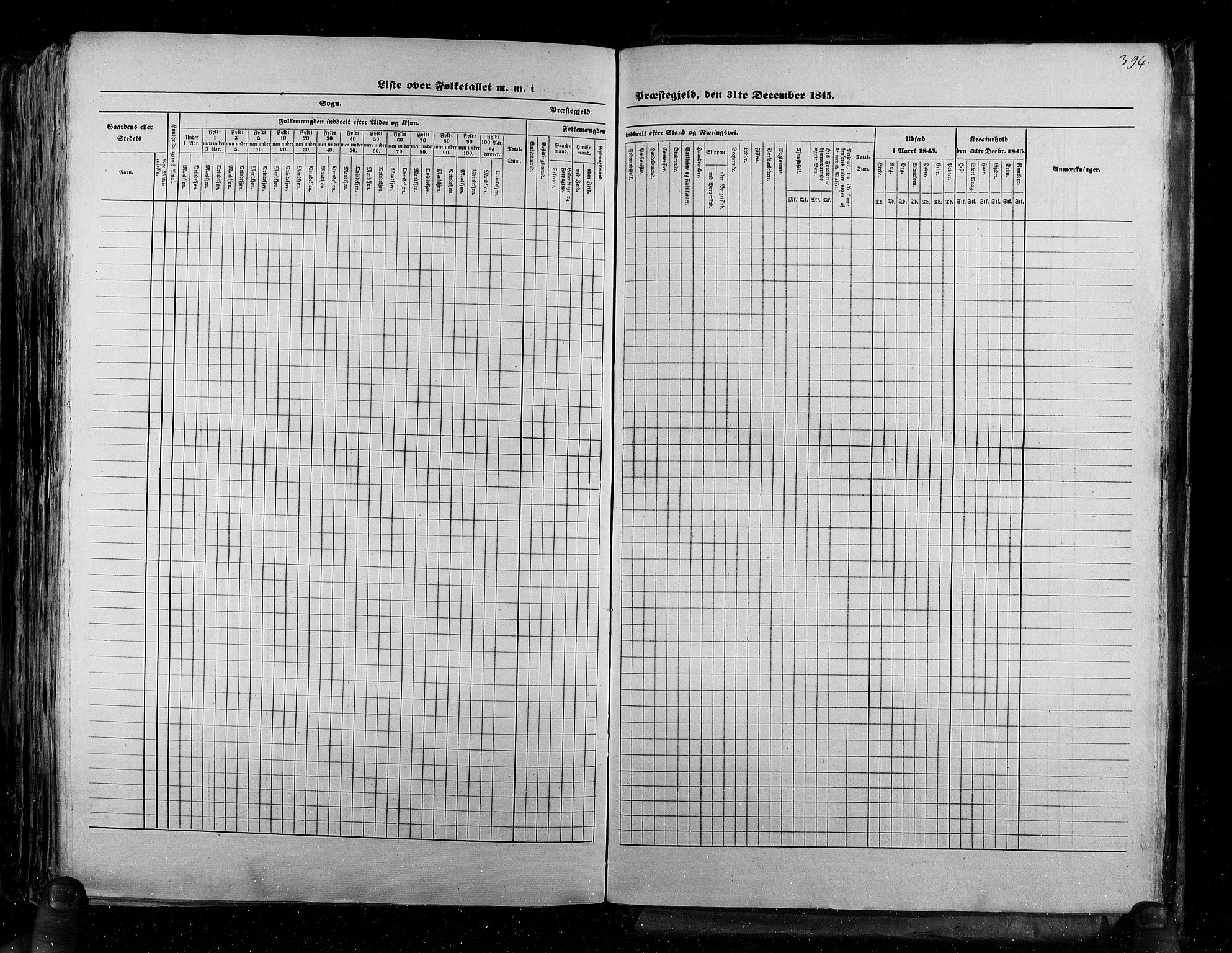 RA, Census 1845, vol. 5: Bratsberg amt og Nedenes og Råbyggelaget amt, 1845, p. 394