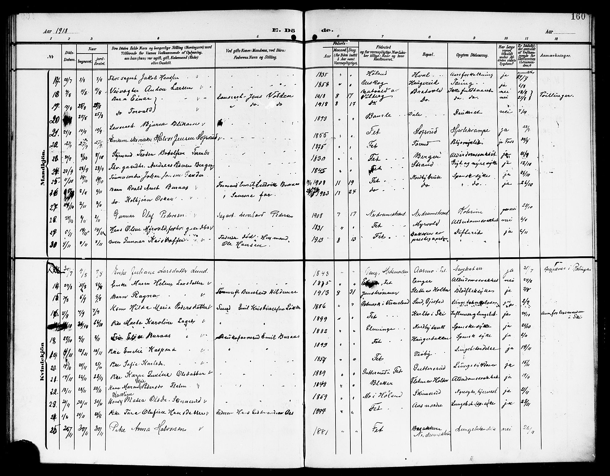 Fet prestekontor Kirkebøker, AV/SAO-A-10370a/G/Ga/L0008: Parish register (copy) no. I 8, 1907-1920, p. 160