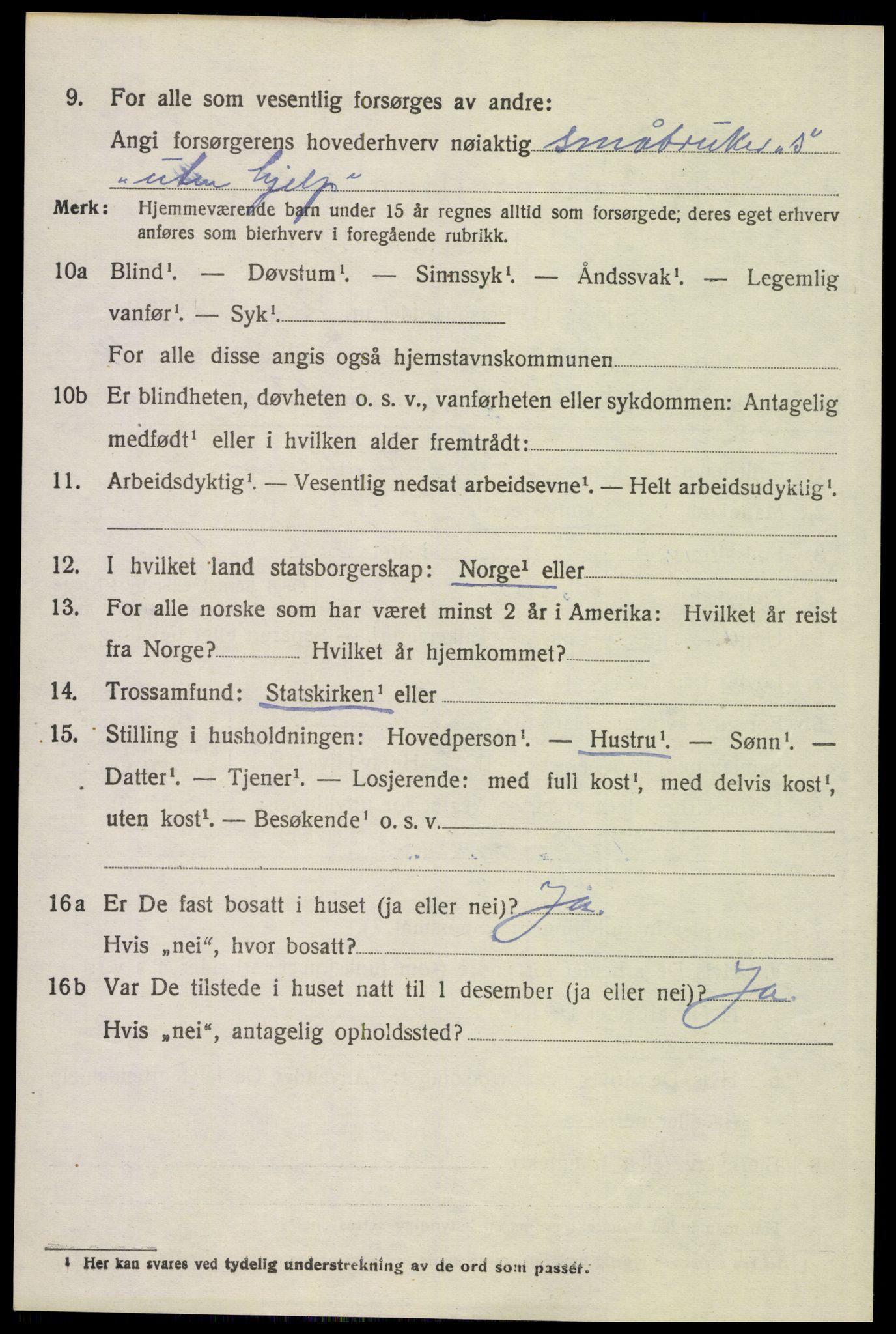 SAH, 1920 census for Åsnes, 1920, p. 11109