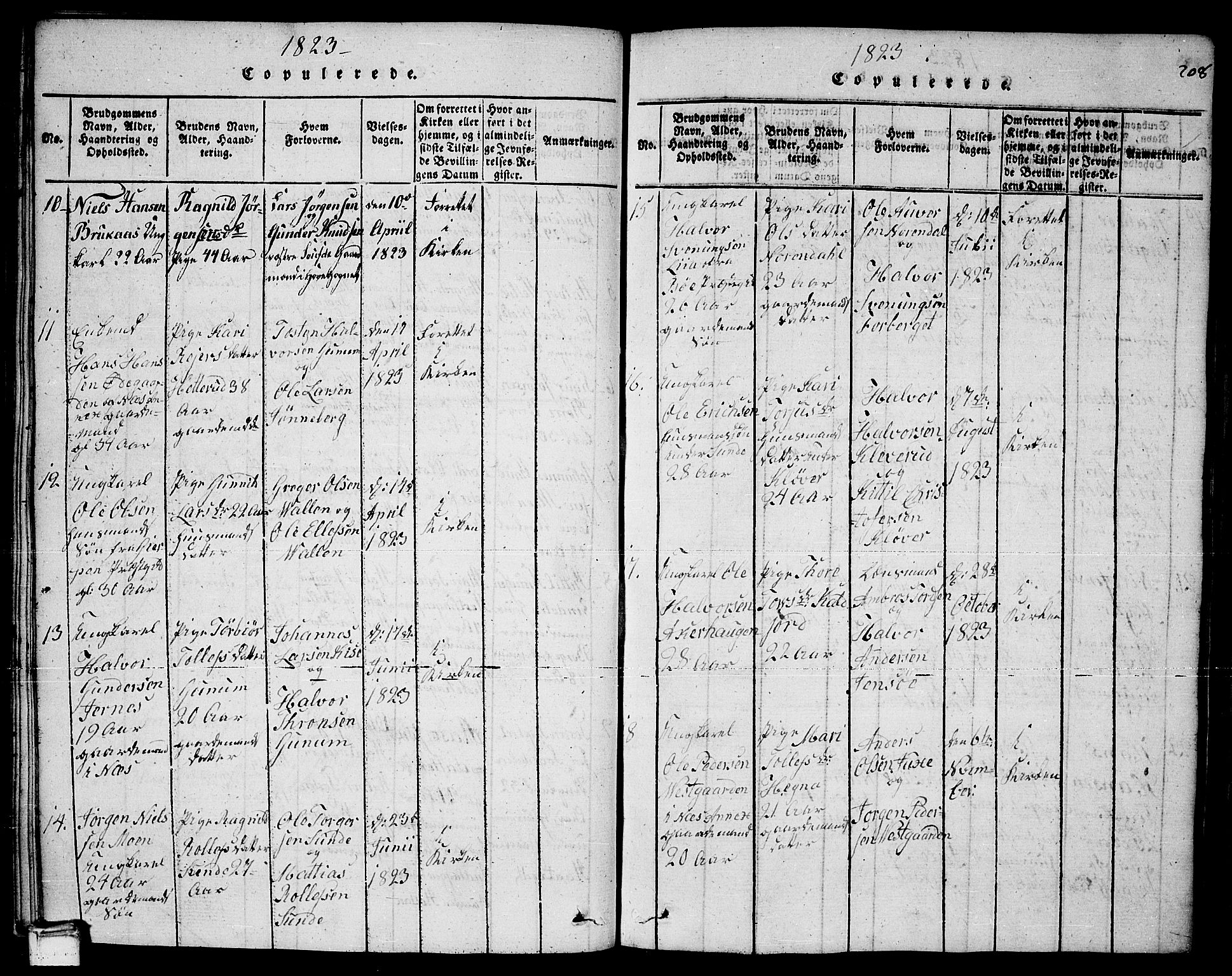 Sauherad kirkebøker, AV/SAKO-A-298/F/Fa/L0005: Parish register (official) no. I 5, 1815-1829, p. 208