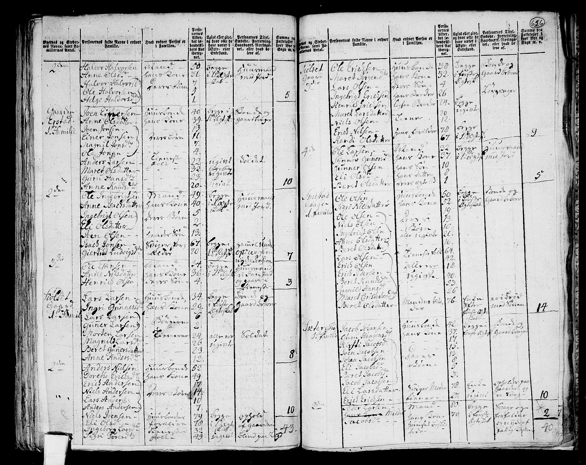 RA, 1801 census for 1563P Sunndal, 1801, p. 625b-626a