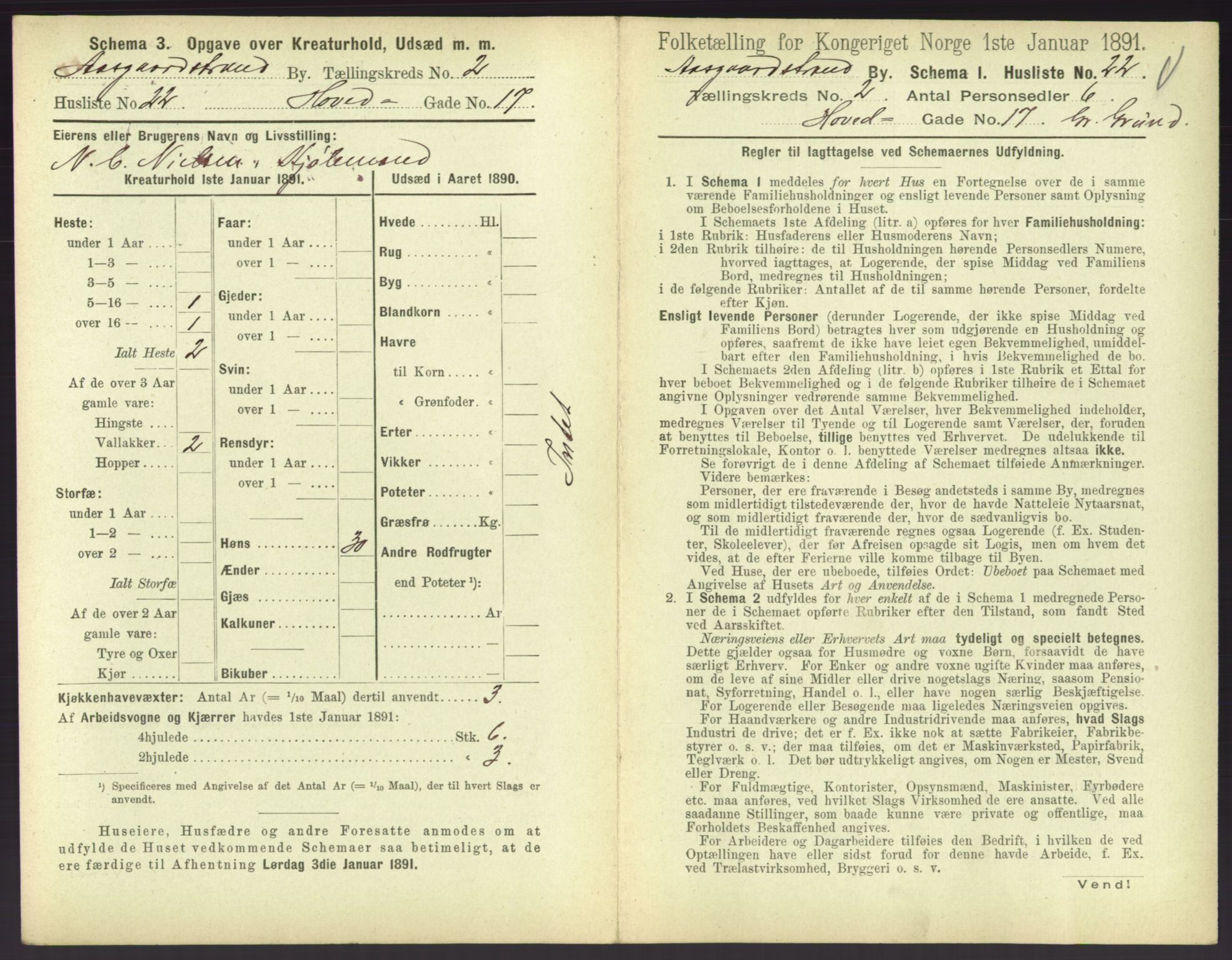 RA, 1891 census for 0704 Åsgårdstrand, 1891, p. 129