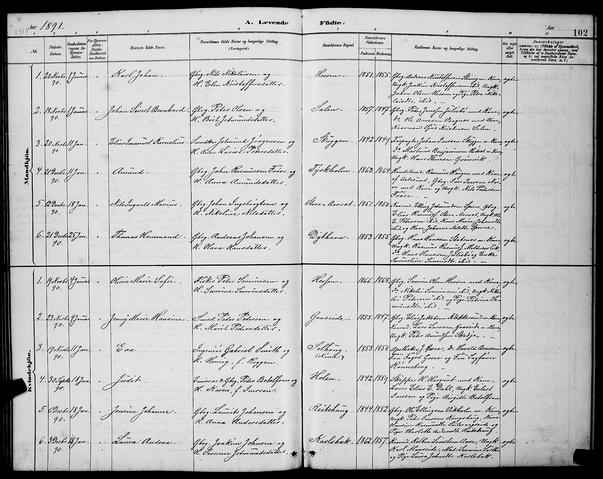 Ministerialprotokoller, klokkerbøker og fødselsregistre - Møre og Romsdal, AV/SAT-A-1454/528/L0431: Parish register (copy) no. 528C12, 1885-1898, p. 102