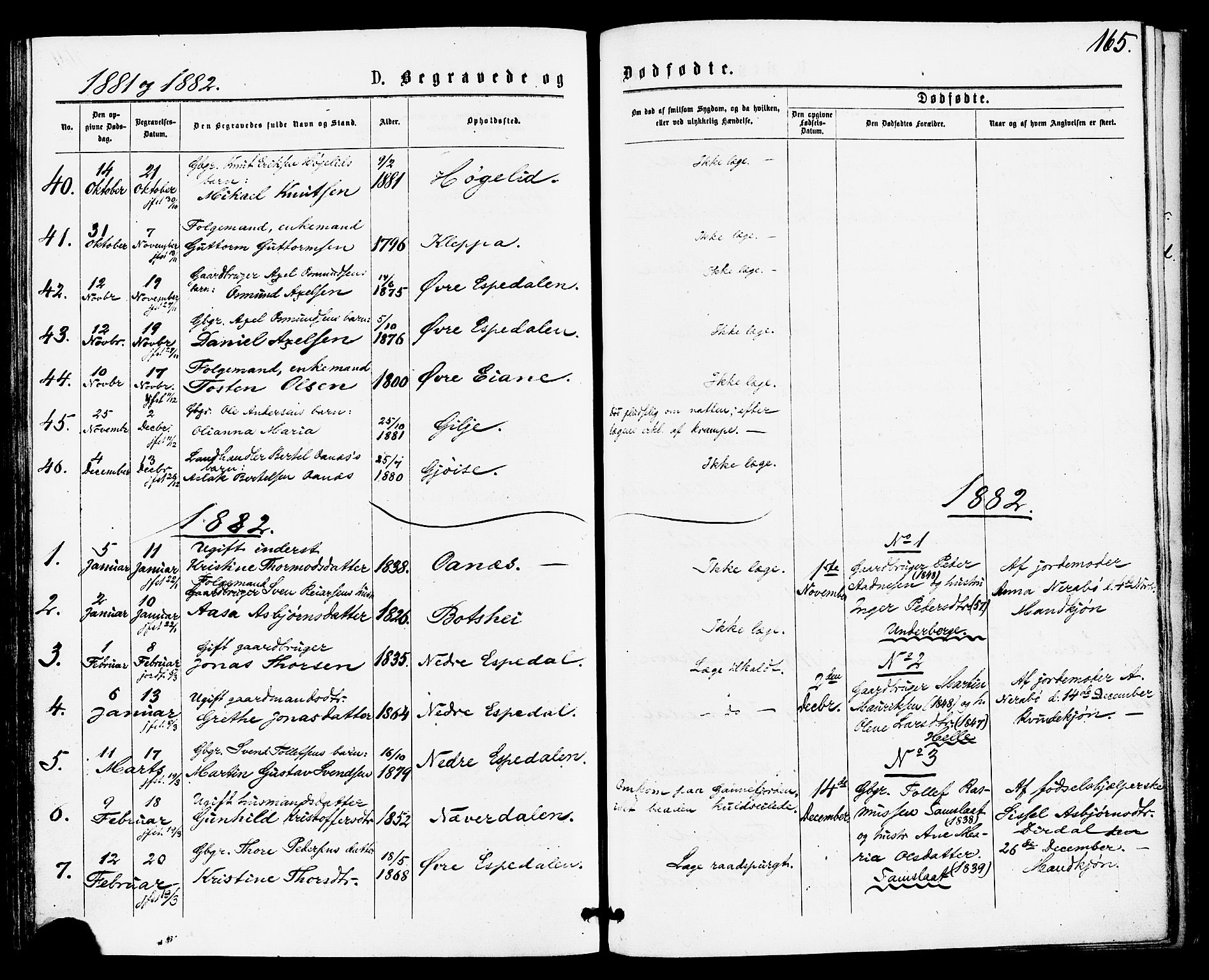 Høgsfjord sokneprestkontor, SAST/A-101624/H/Ha/Haa/L0004: Parish register (official) no. A 4, 1876-1884, p. 165