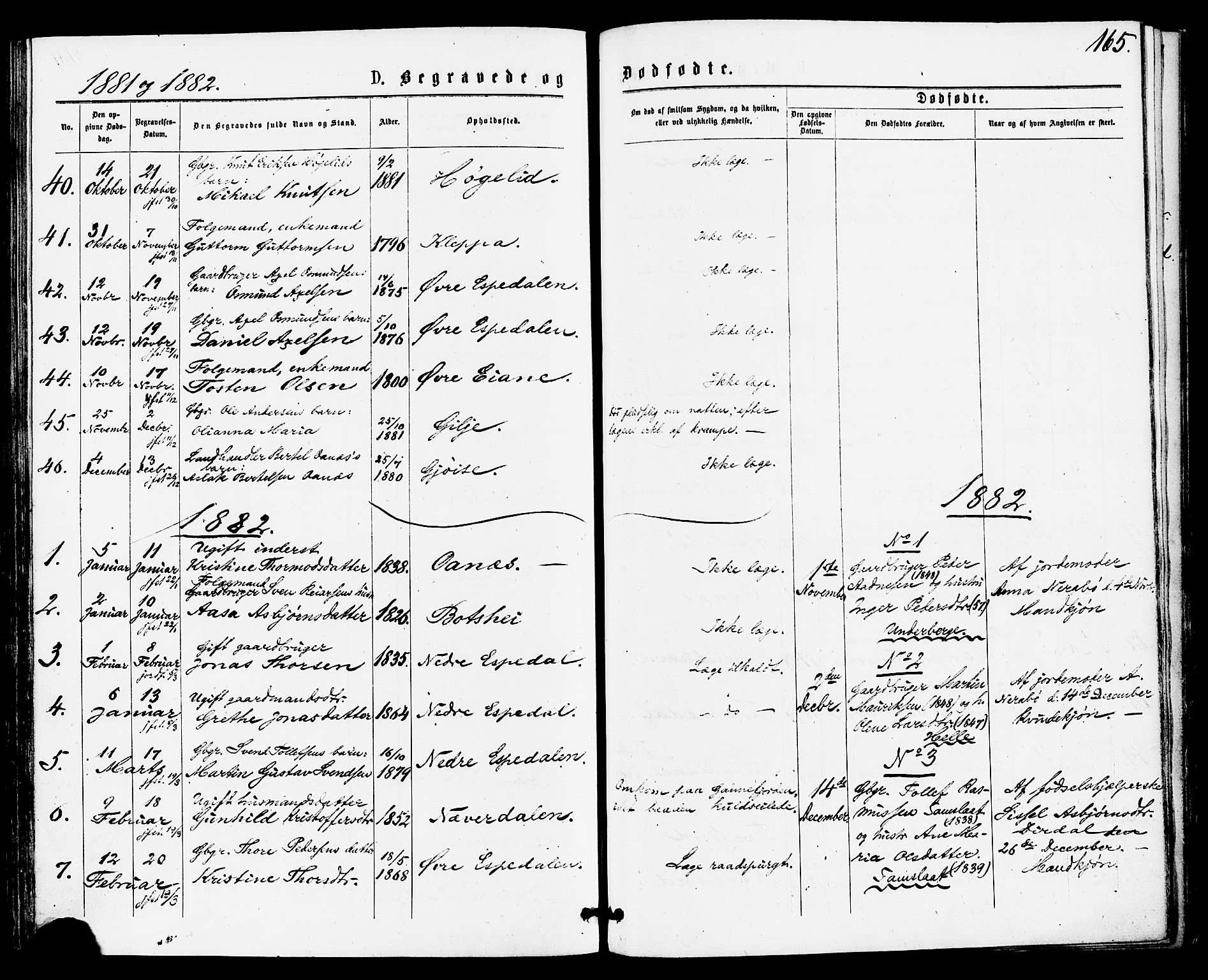 Høgsfjord sokneprestkontor, AV/SAST-A-101624/H/Ha/Haa/L0004: Parish register (official) no. A 4, 1876-1884, p. 165