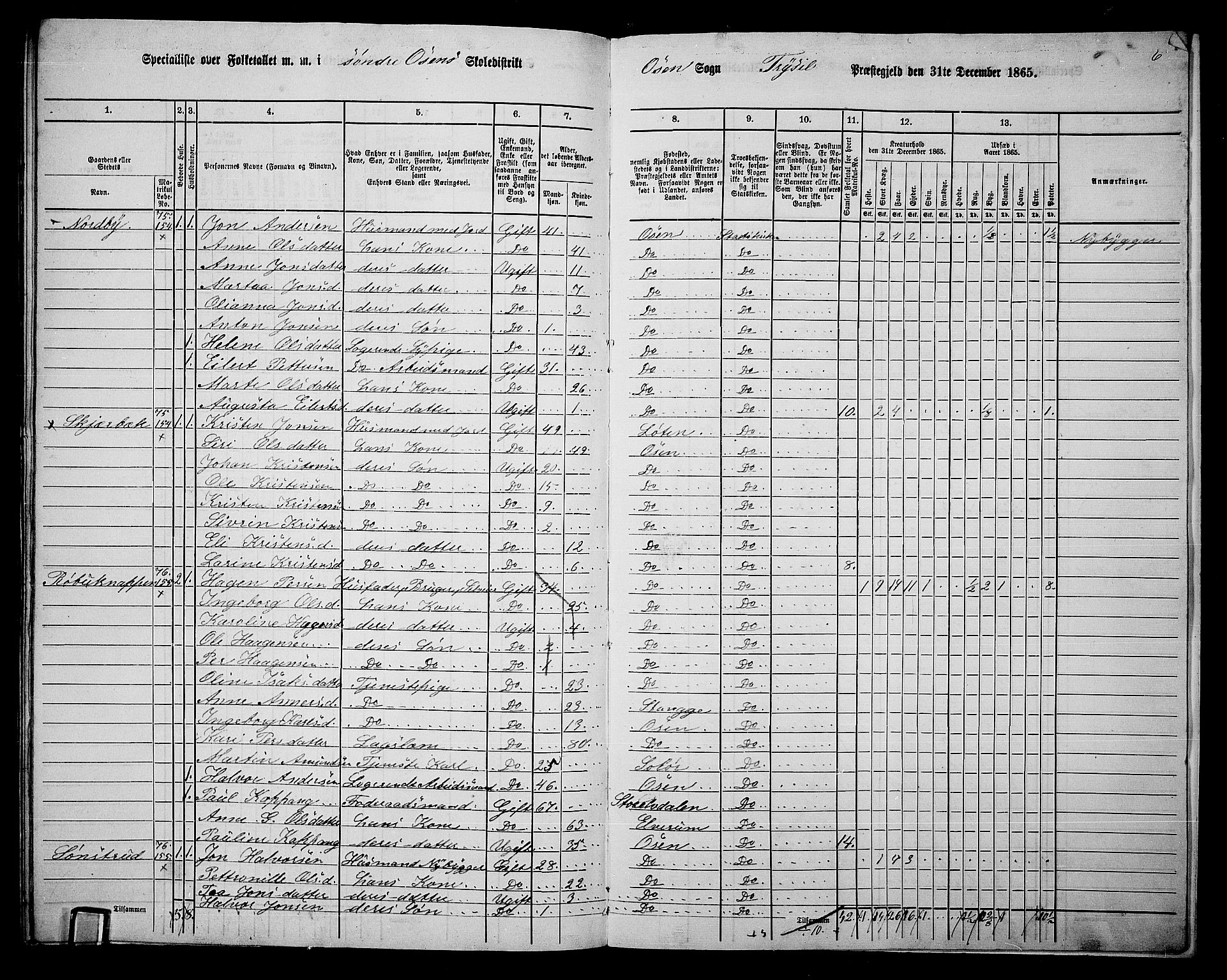 RA, 1865 census for Trysil, 1865, p. 170