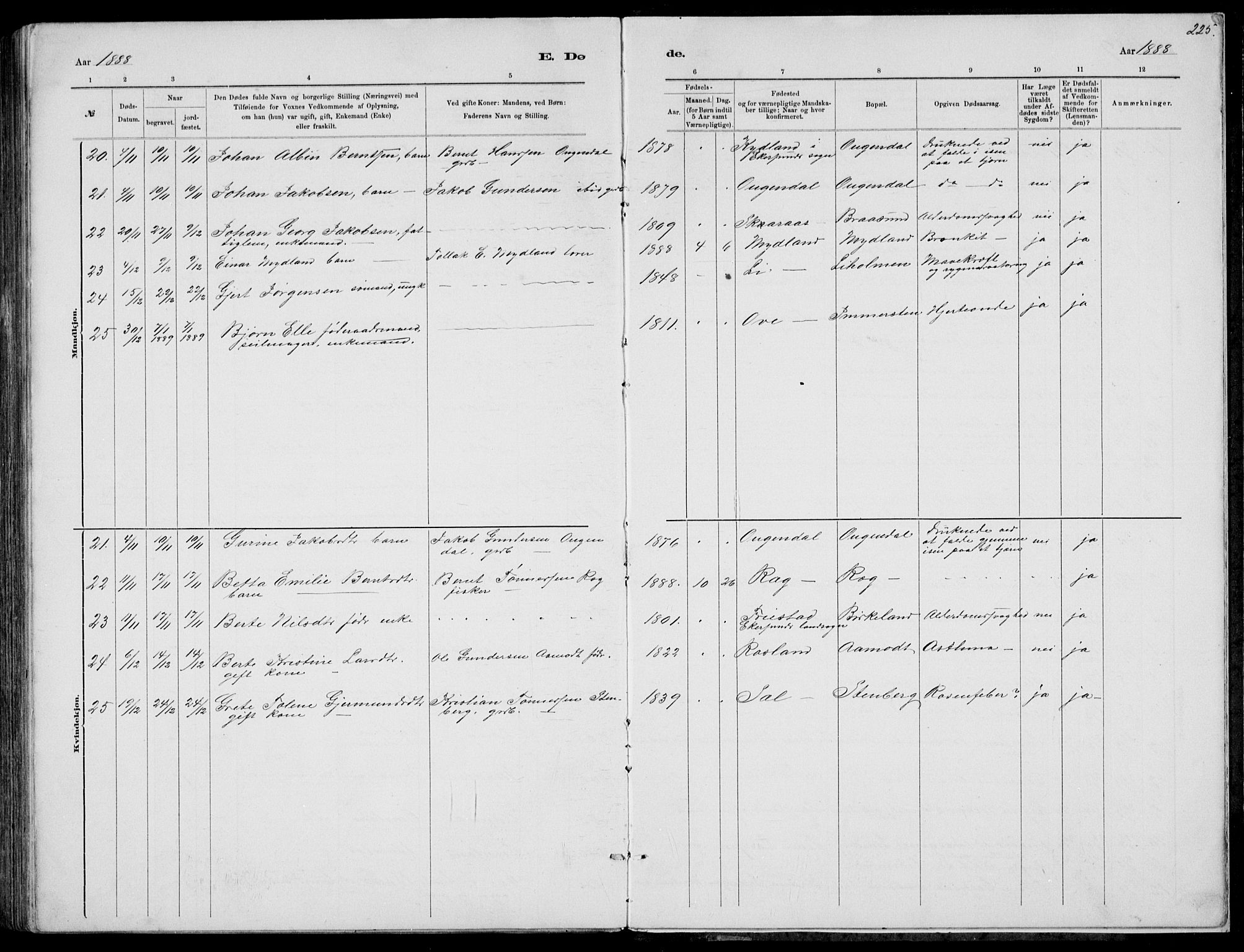 Sokndal sokneprestkontor, AV/SAST-A-101808: Parish register (copy) no. B 4, 1880-1891, p. 225