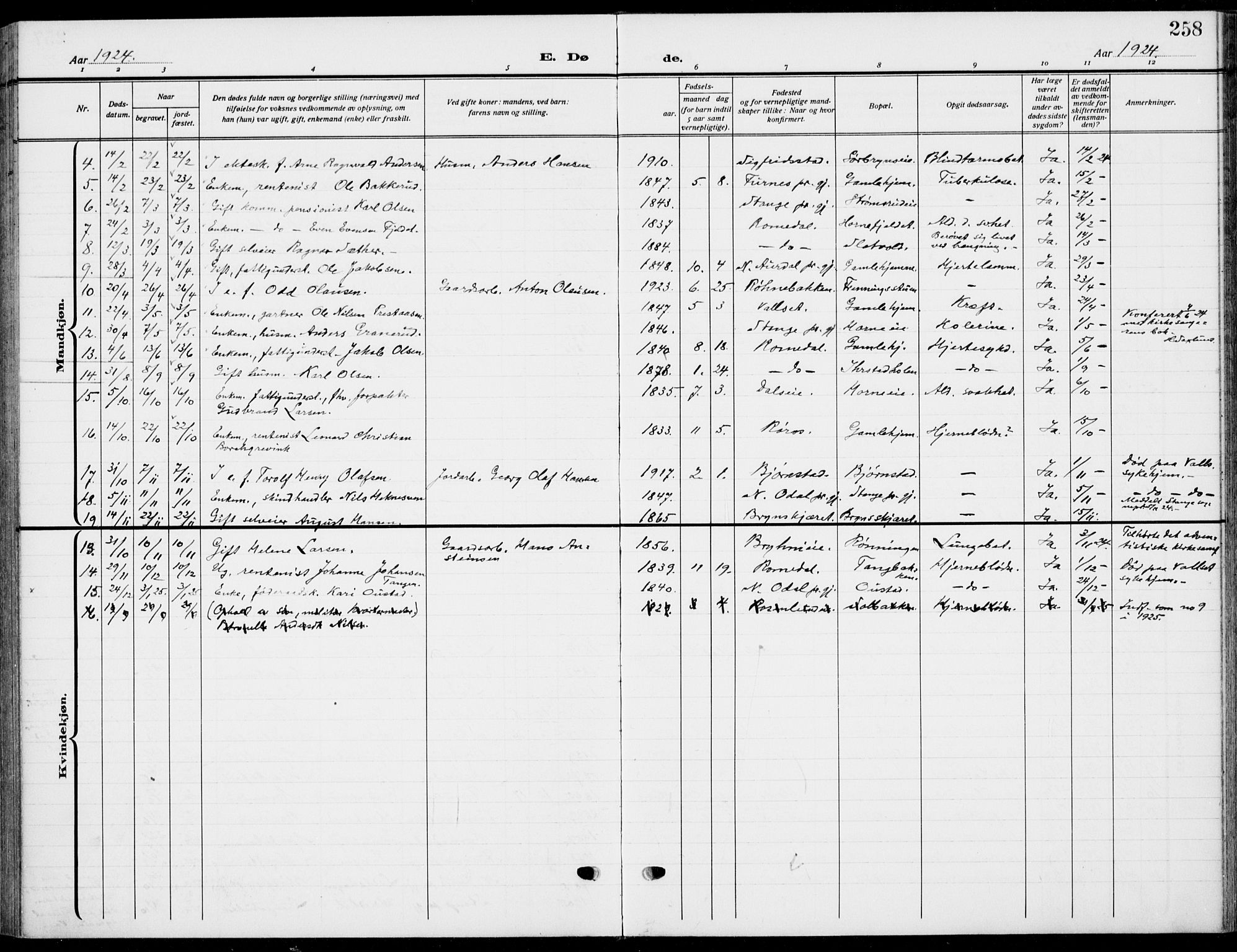 Romedal prestekontor, SAH/PREST-004/K/L0012: Parish register (official) no. 12, 1913-1935, p. 258