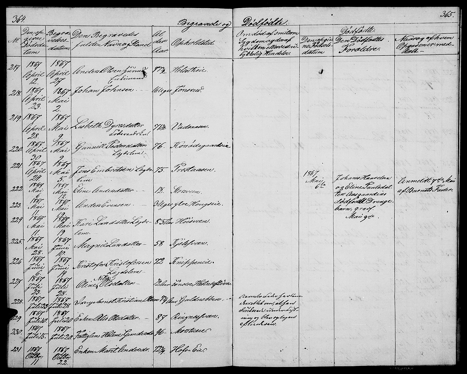 Stange prestekontor, SAH/PREST-002/L/L0004: Parish register (copy) no. 4, 1861-1869, p. 364-365