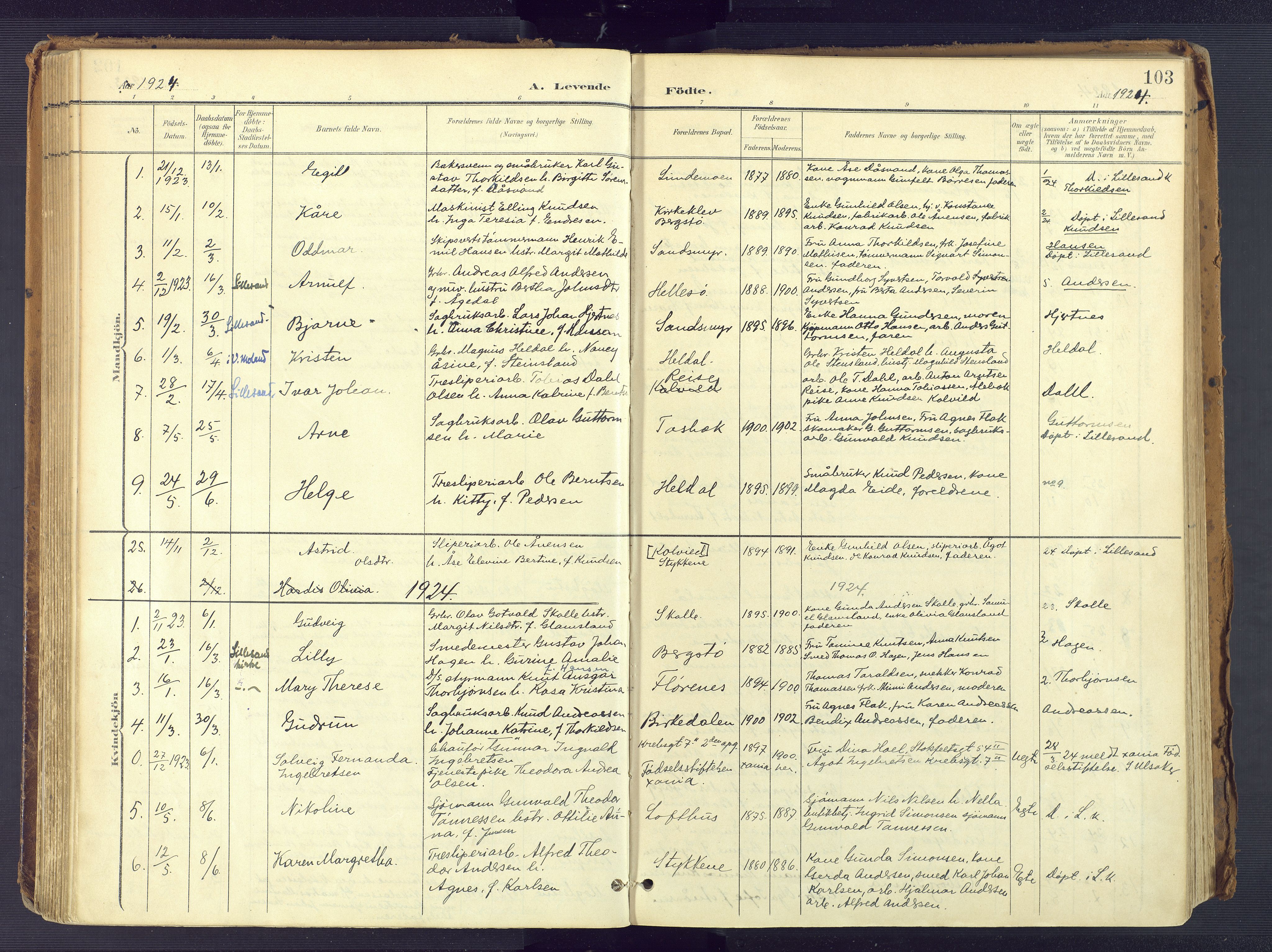 Vestre Moland sokneprestkontor, SAK/1111-0046/F/Fa/Fab/L0010: Parish register (official) no. A 10, 1900-1926, p. 103