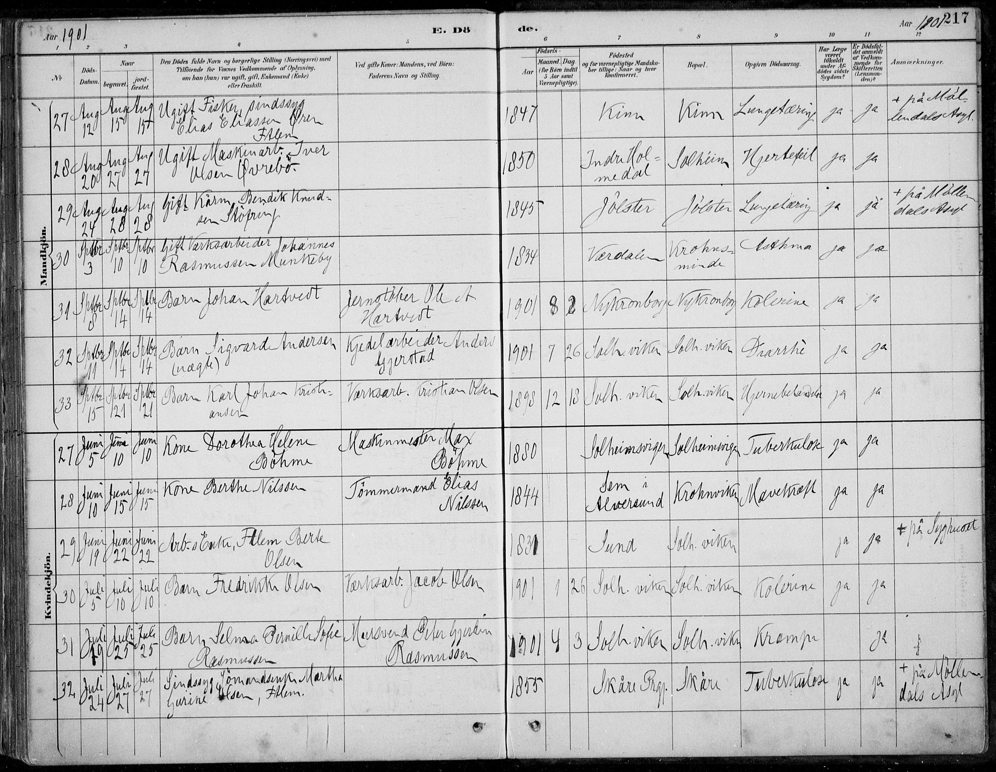 Årstad Sokneprestembete, AV/SAB-A-79301/H/Haa/L0006: Parish register (official) no. B 1, 1886-1901, p. 217