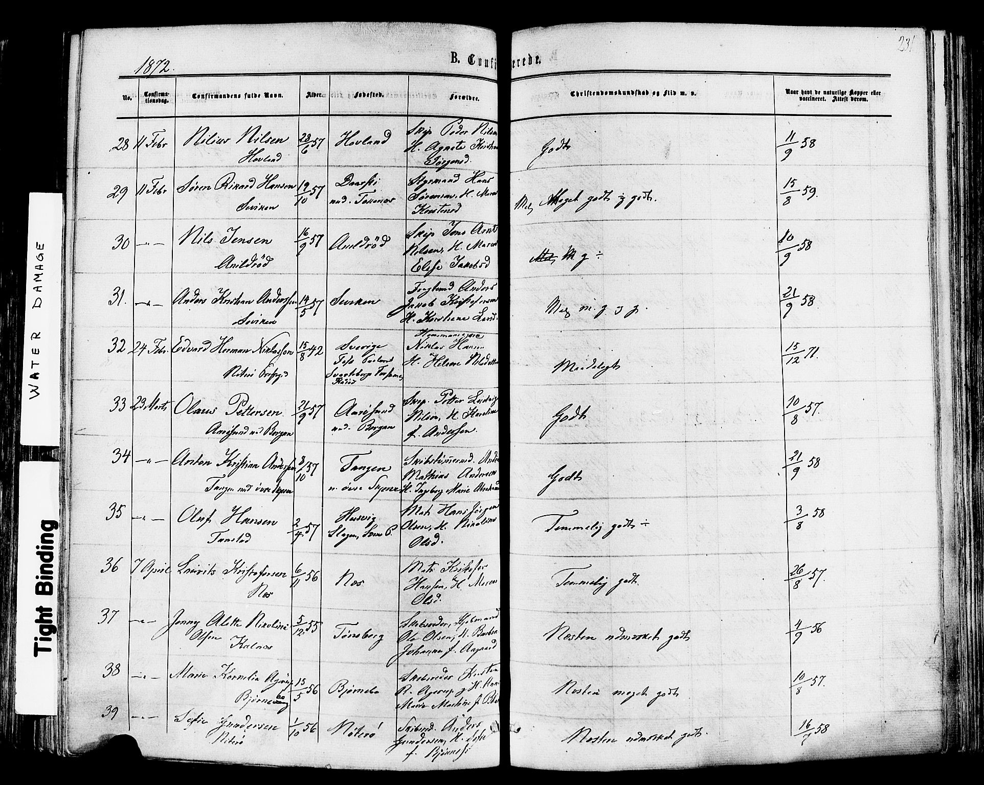 Nøtterøy kirkebøker, AV/SAKO-A-354/F/Fa/L0007: Parish register (official) no. I 7, 1865-1877, p. 231