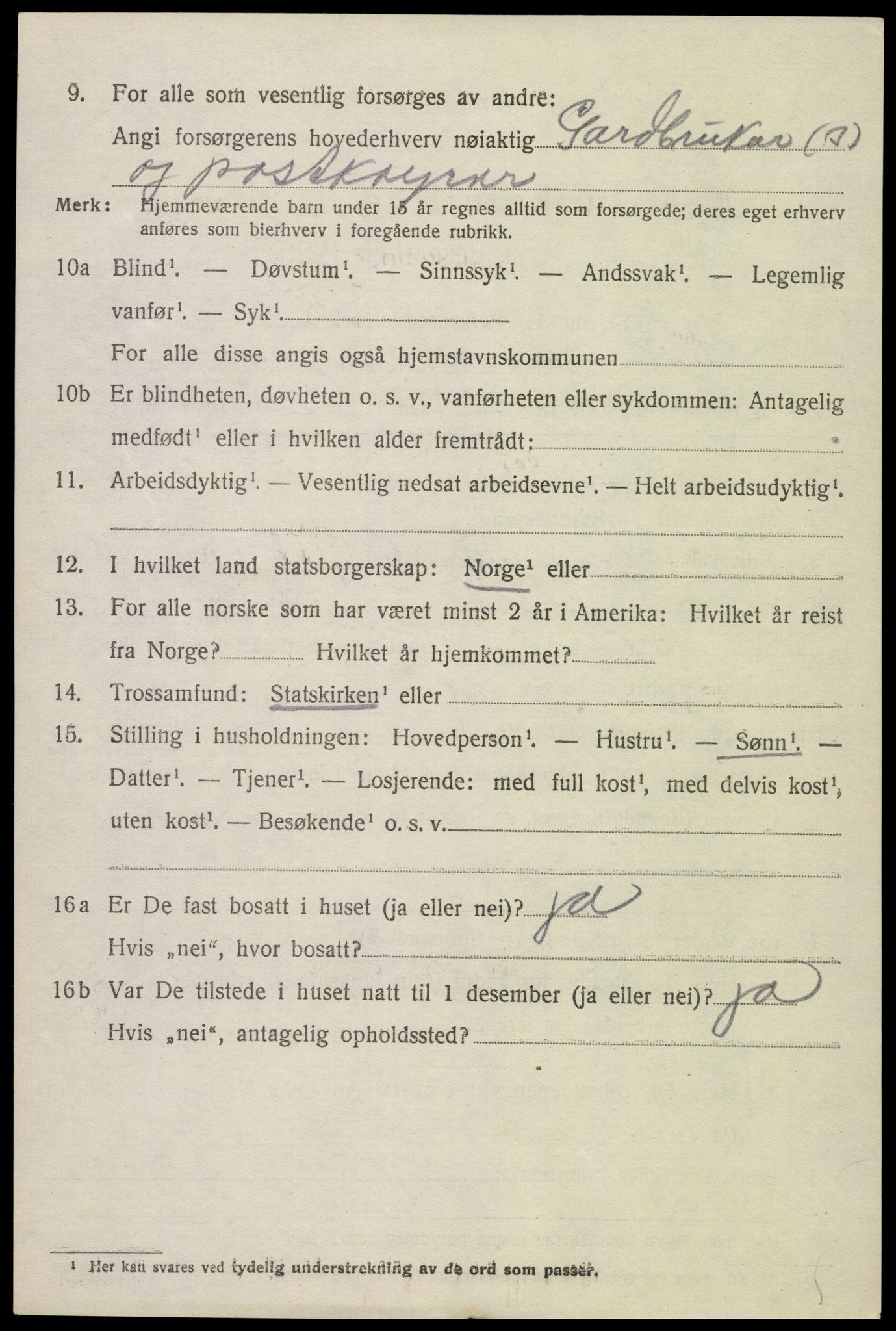 SAK, 1920 census for Hornnes, 1920, p. 3074