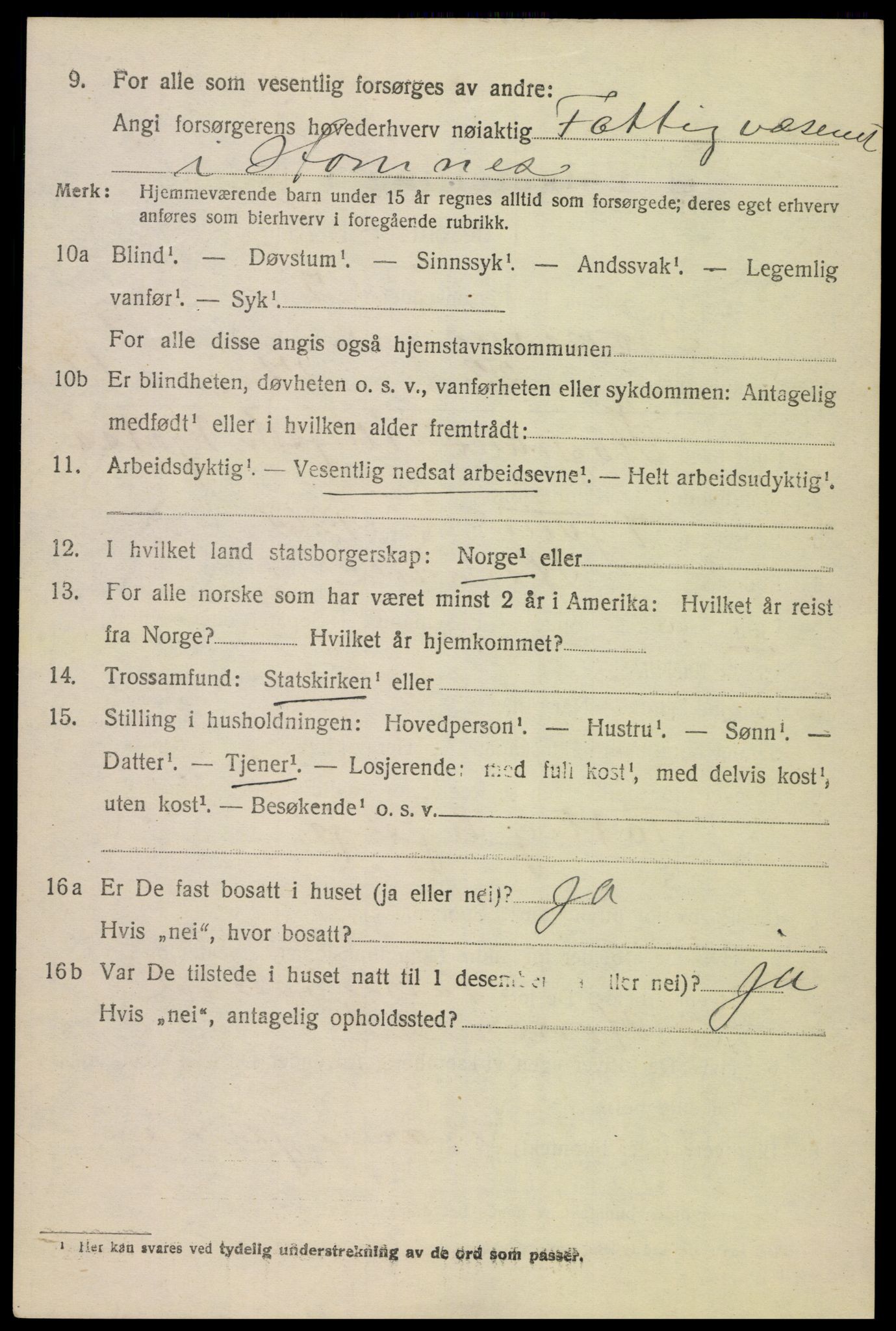 SAK, 1920 census for Hornnes, 1920, p. 2484