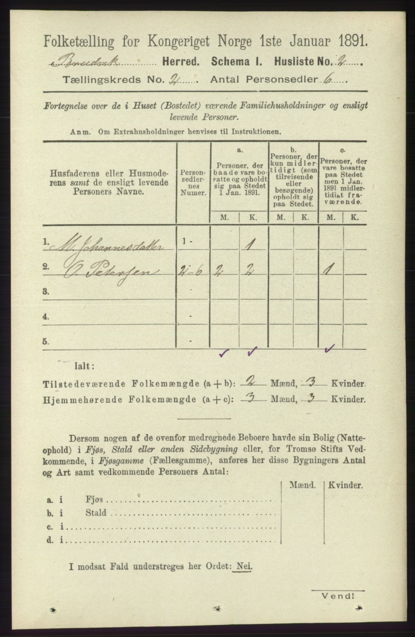 RA, 1891 census for 1251 Bruvik, 1891, p. 381