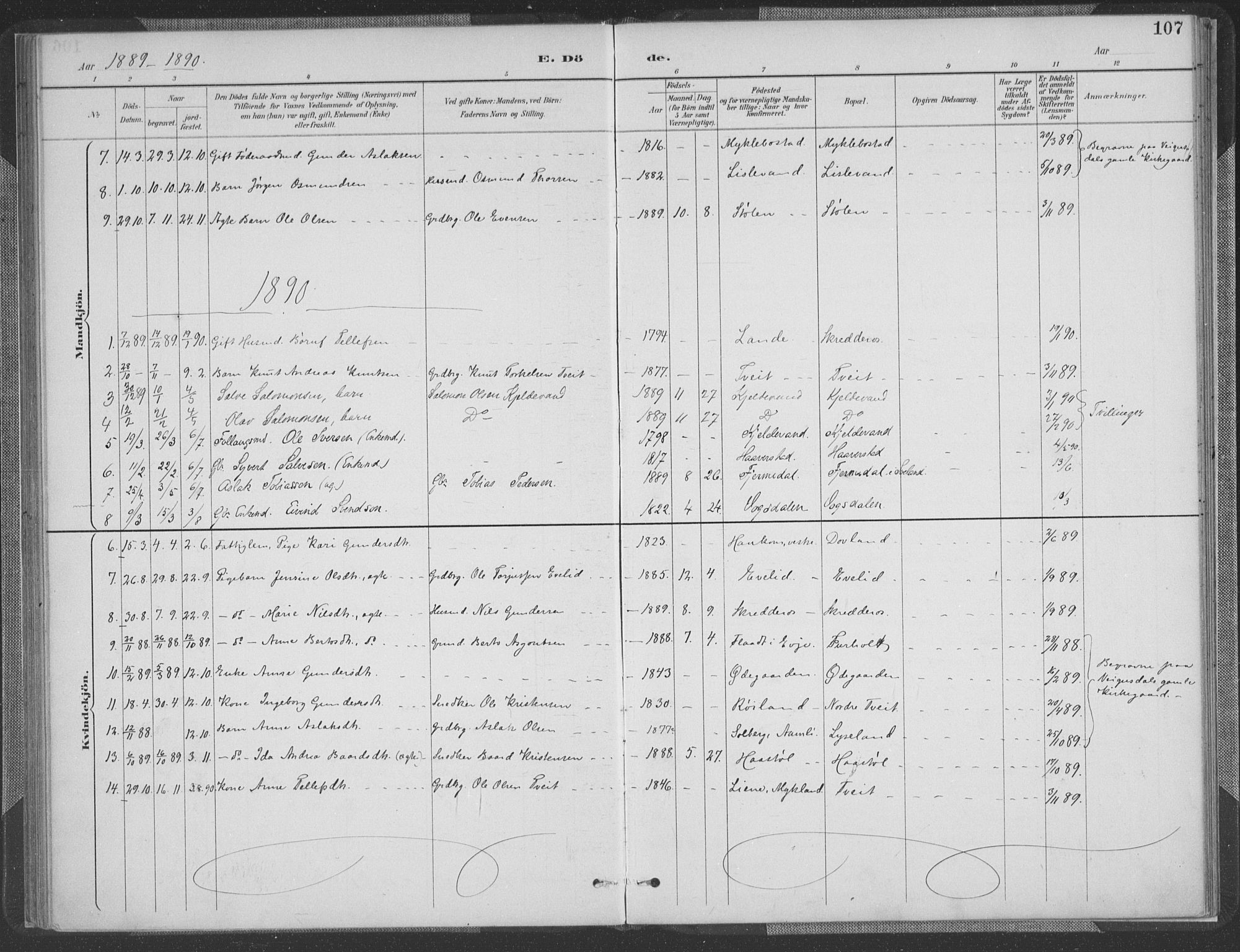 Herefoss sokneprestkontor, AV/SAK-1111-0019/F/Fa/Fab/L0004: Parish register (official) no. A 4, 1887-1909, p. 107