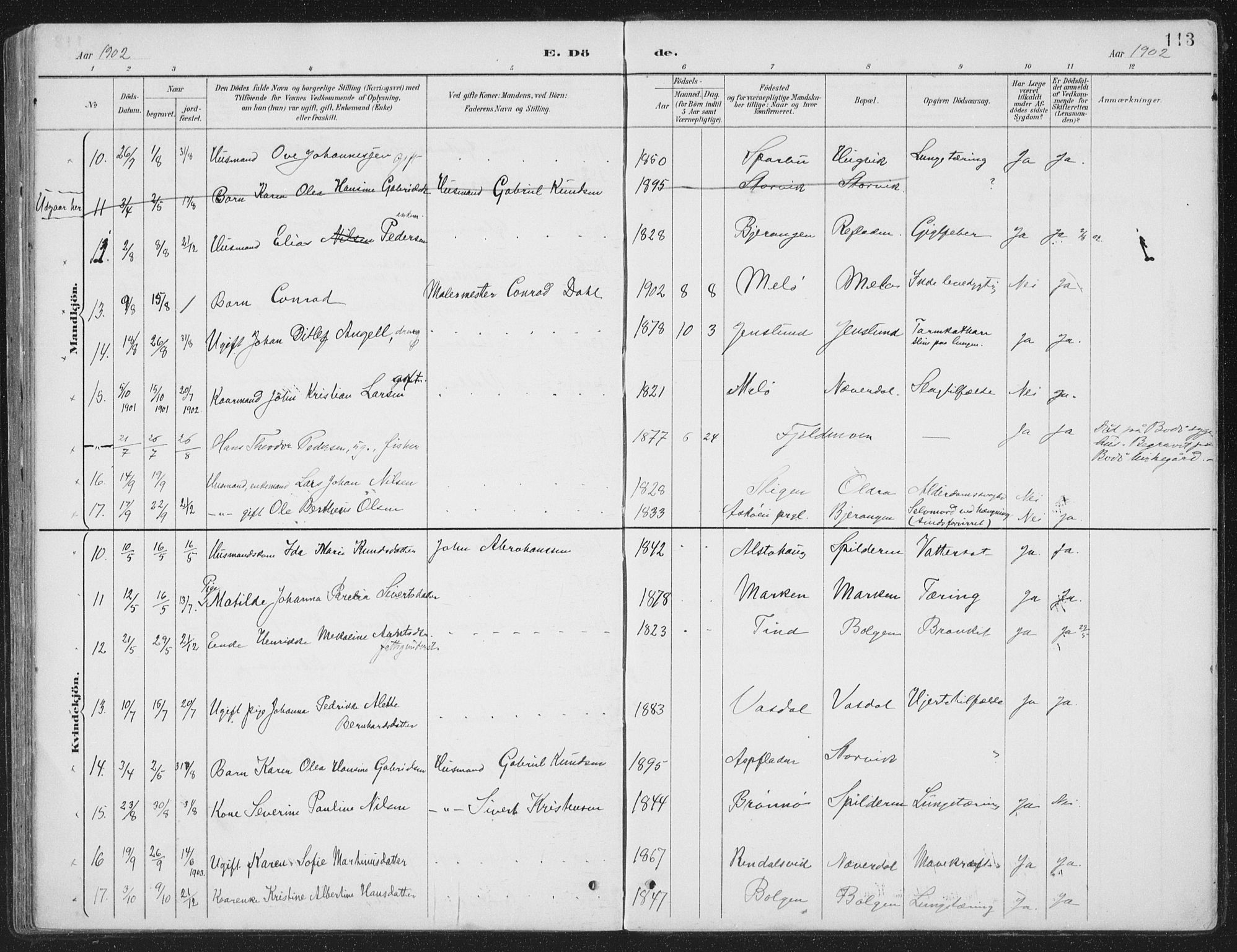 Ministerialprotokoller, klokkerbøker og fødselsregistre - Nordland, AV/SAT-A-1459/843/L0638: Parish register (copy) no. 843C07, 1888-1907, p. 113