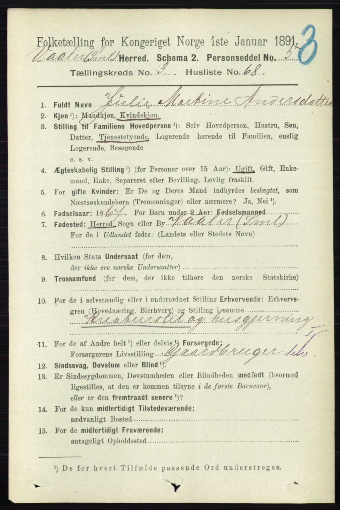 RA, 1891 census for 0137 Våler, 1891, p. 1542