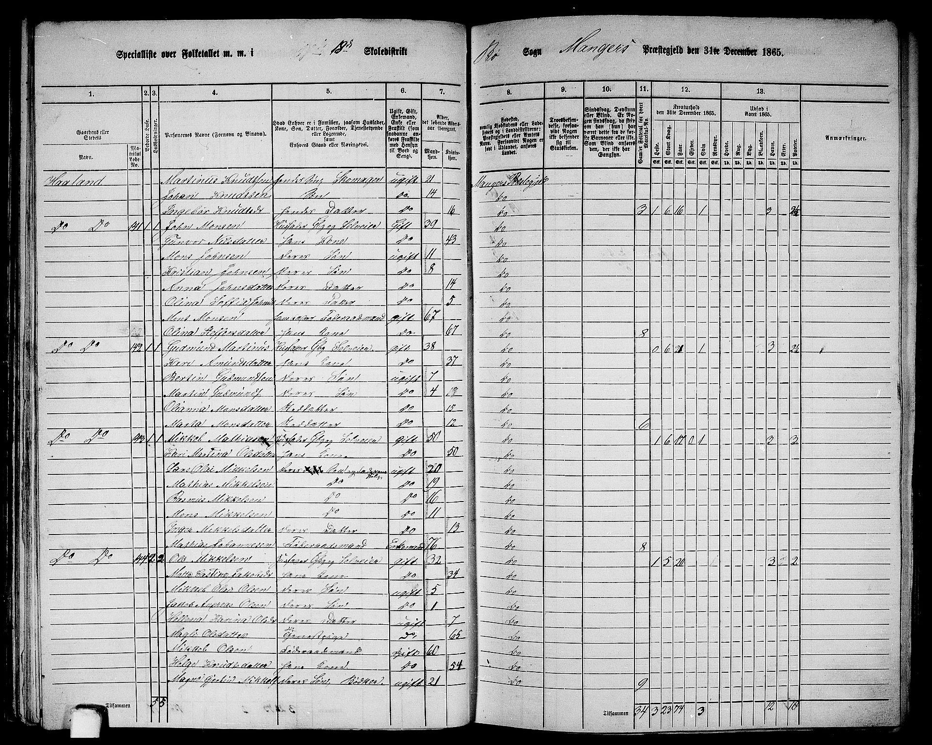 RA, 1865 census for Manger, 1865, p. 45