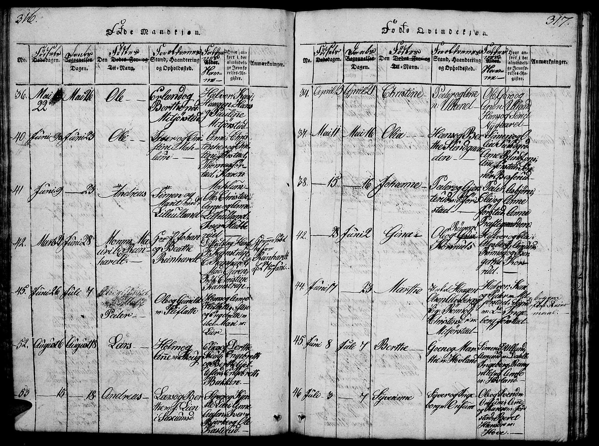 Fåberg prestekontor, AV/SAH-PREST-086/H/Ha/Hab/L0004: Parish register (copy) no. 4, 1818-1837, p. 316-317