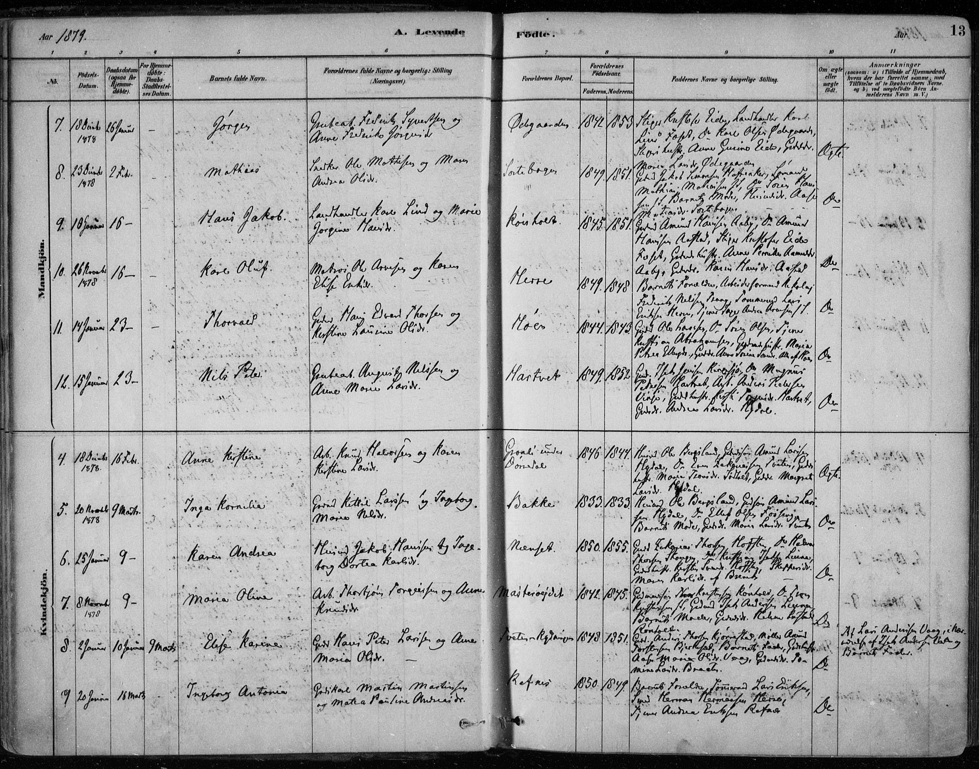 Bamble kirkebøker, AV/SAKO-A-253/F/Fa/L0007: Parish register (official) no. I 7, 1878-1888, p. 13