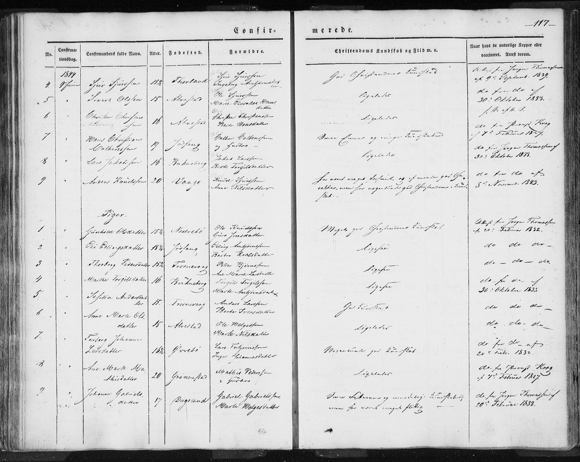 Skudenes sokneprestkontor, AV/SAST-A -101849/H/Ha/Haa/L0002: Parish register (official) no. A 2.1, 1841-1846, p. 117