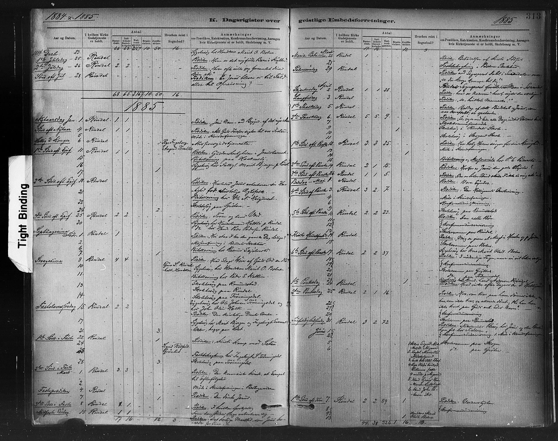 Ministerialprotokoller, klokkerbøker og fødselsregistre - Møre og Romsdal, AV/SAT-A-1454/598/L1069: Parish register (official) no. 598A03, 1882-1895, p. 313