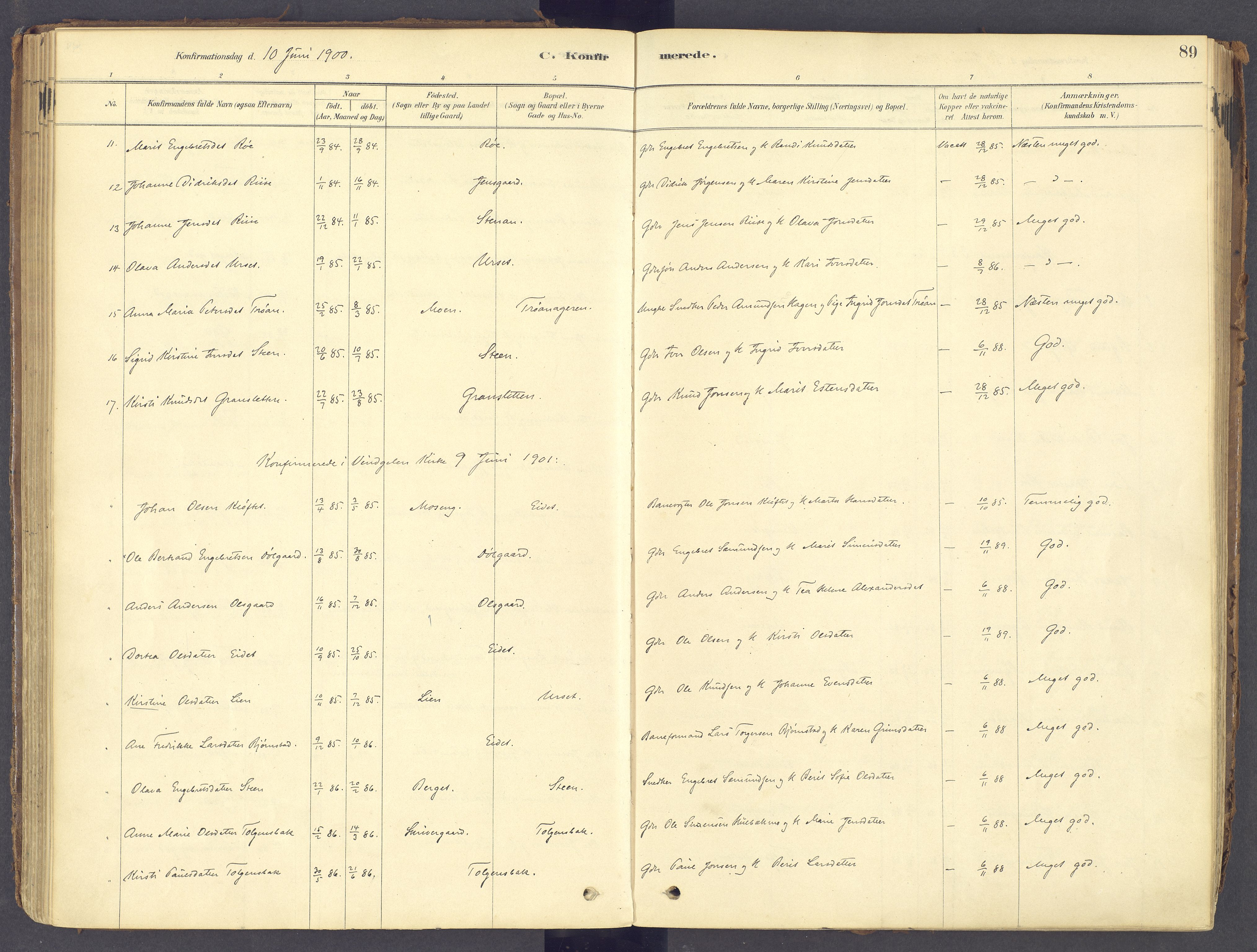 Tolga prestekontor, AV/SAH-PREST-062/K/L0011: Parish register (official) no. 11, 1877-1920, p. 89