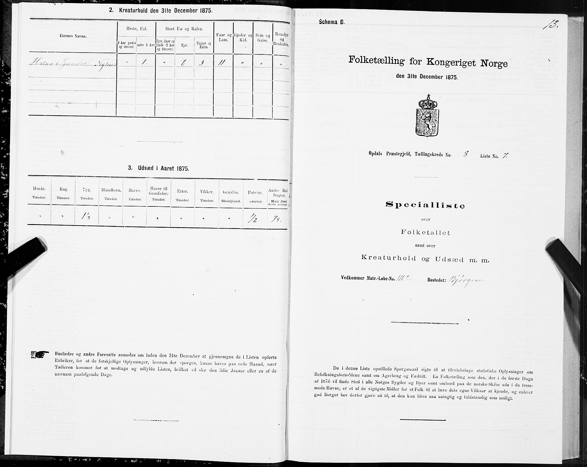 SAT, 1875 census for 1634P Oppdal, 1875, p. 5013