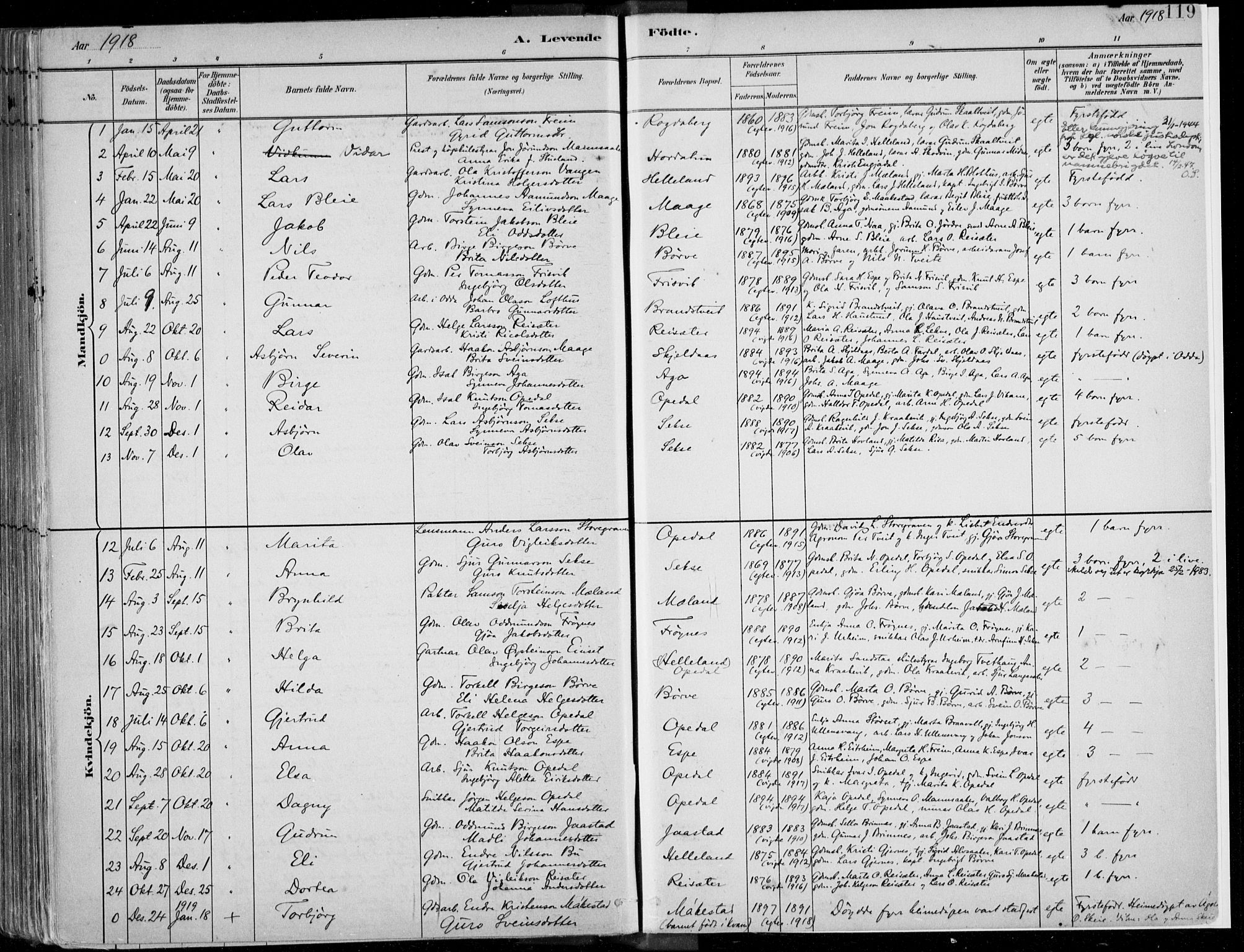 Ullensvang sokneprestembete, SAB/A-78701/H/Haa: Parish register (official) no. B  1, 1882-1918, p. 119