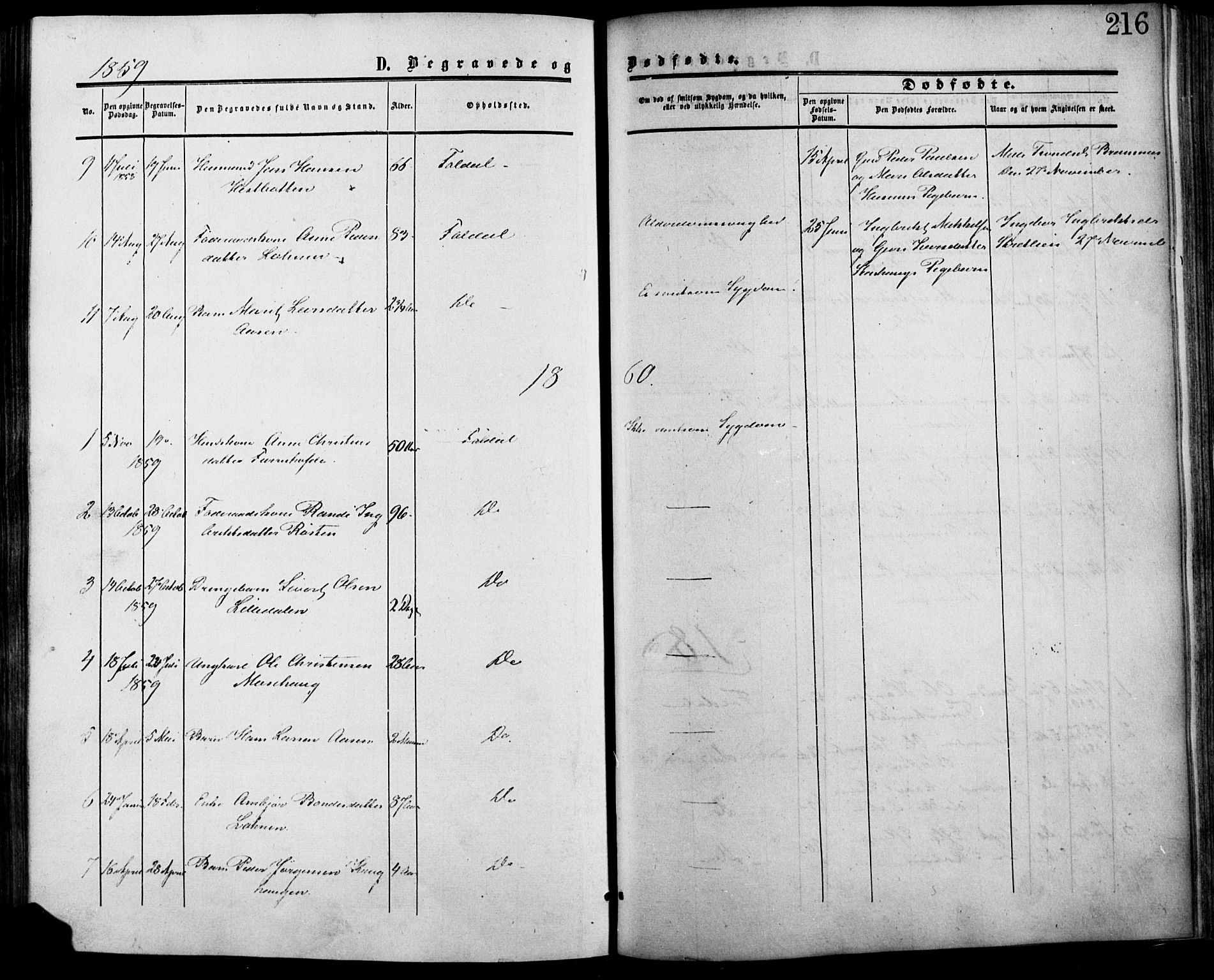 Lesja prestekontor, SAH/PREST-068/H/Ha/Haa/L0007: Parish register (official) no. 7, 1854-1862, p. 216
