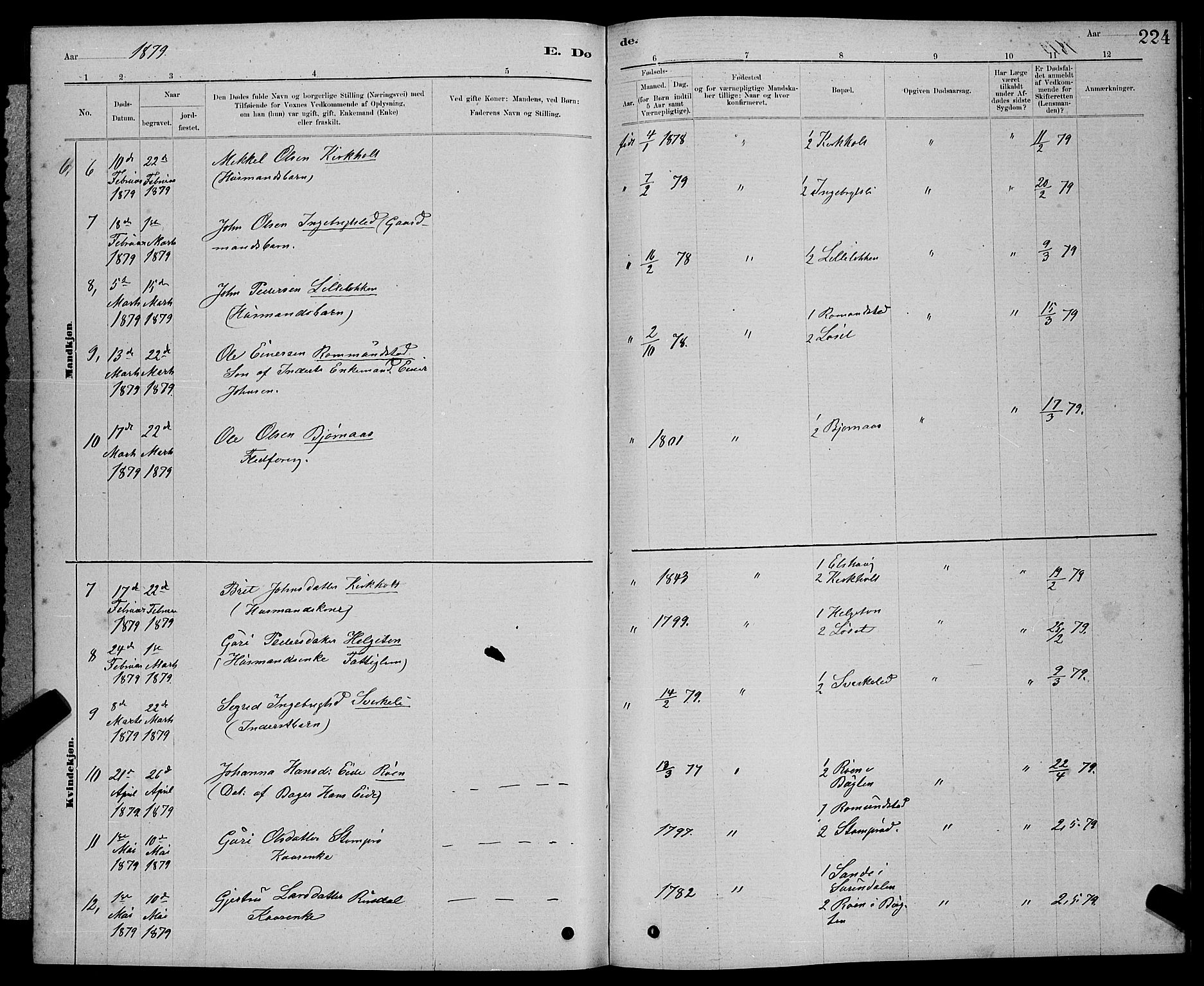 Ministerialprotokoller, klokkerbøker og fødselsregistre - Møre og Romsdal, AV/SAT-A-1454/598/L1077: Parish register (copy) no. 598C02, 1879-1891, p. 224