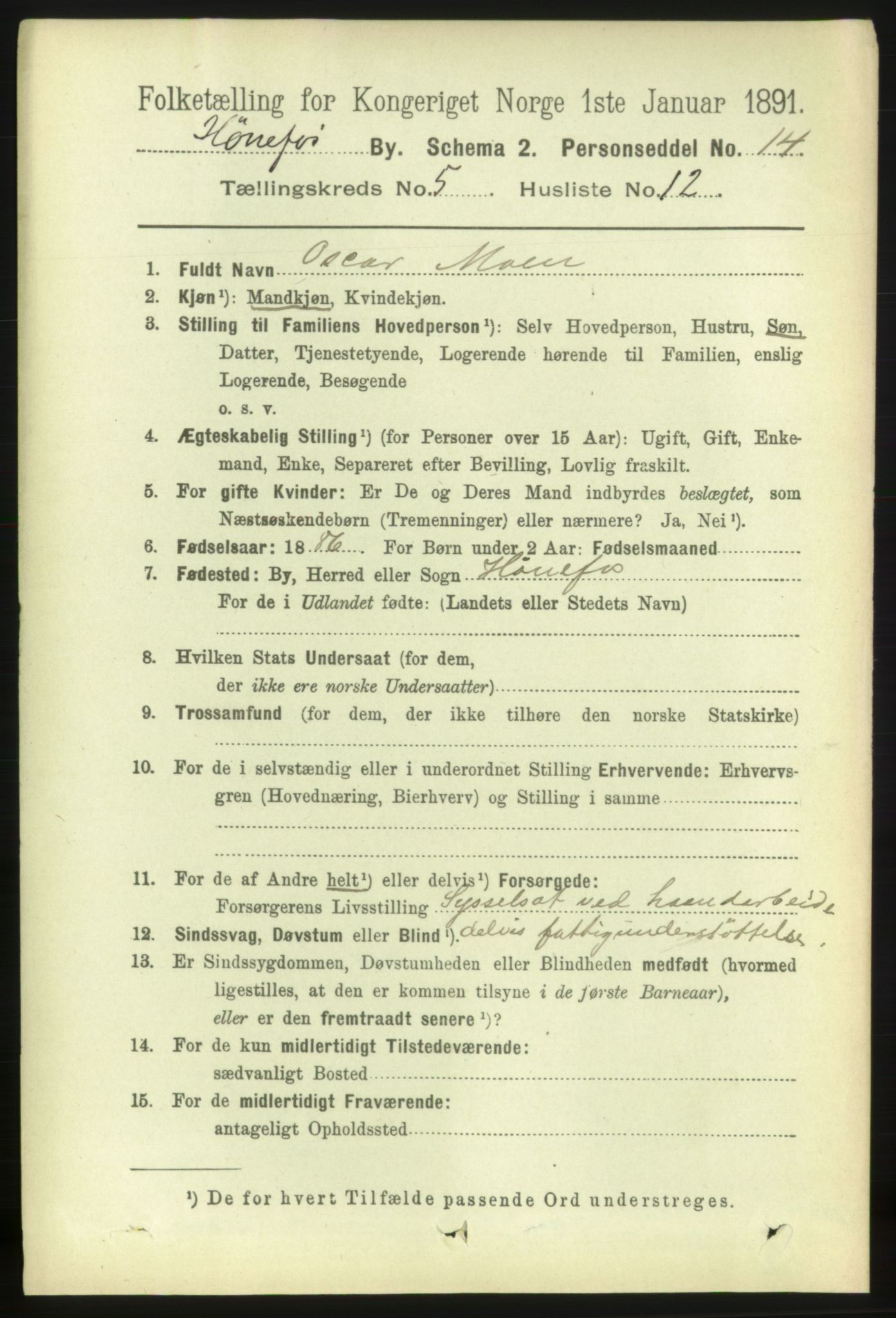 RA, 1891 census for 0601 Hønefoss, 1891, p. 1009